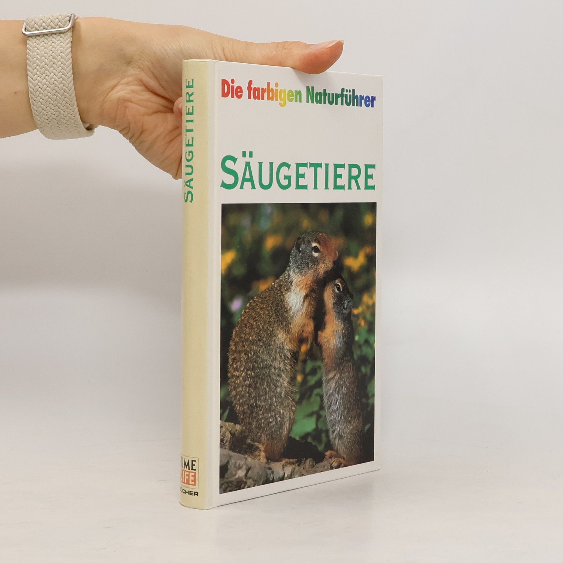 Autorenkollektiv Säugetiere