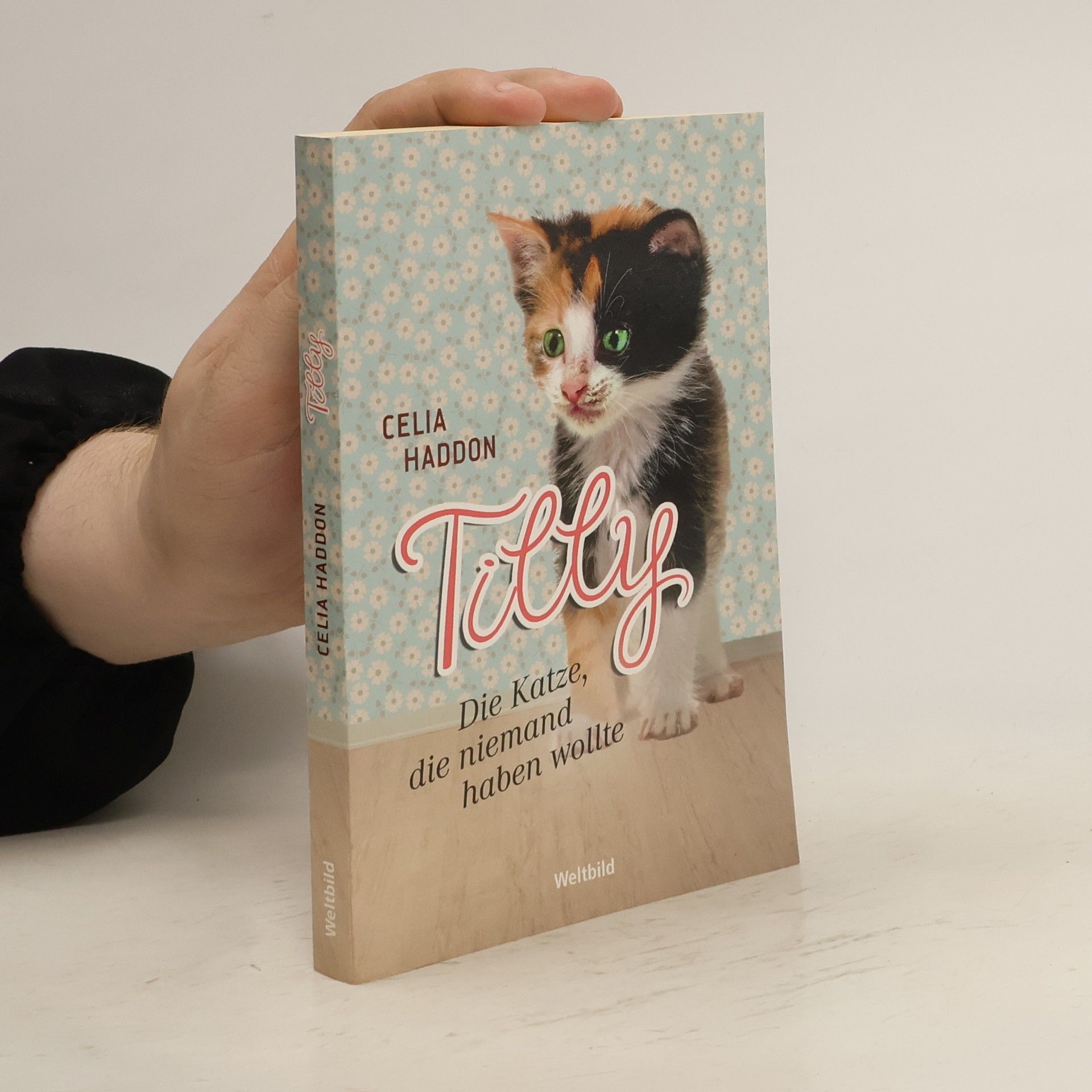 Celia Haddon Tilly - die Katze, die niemand haben wollte