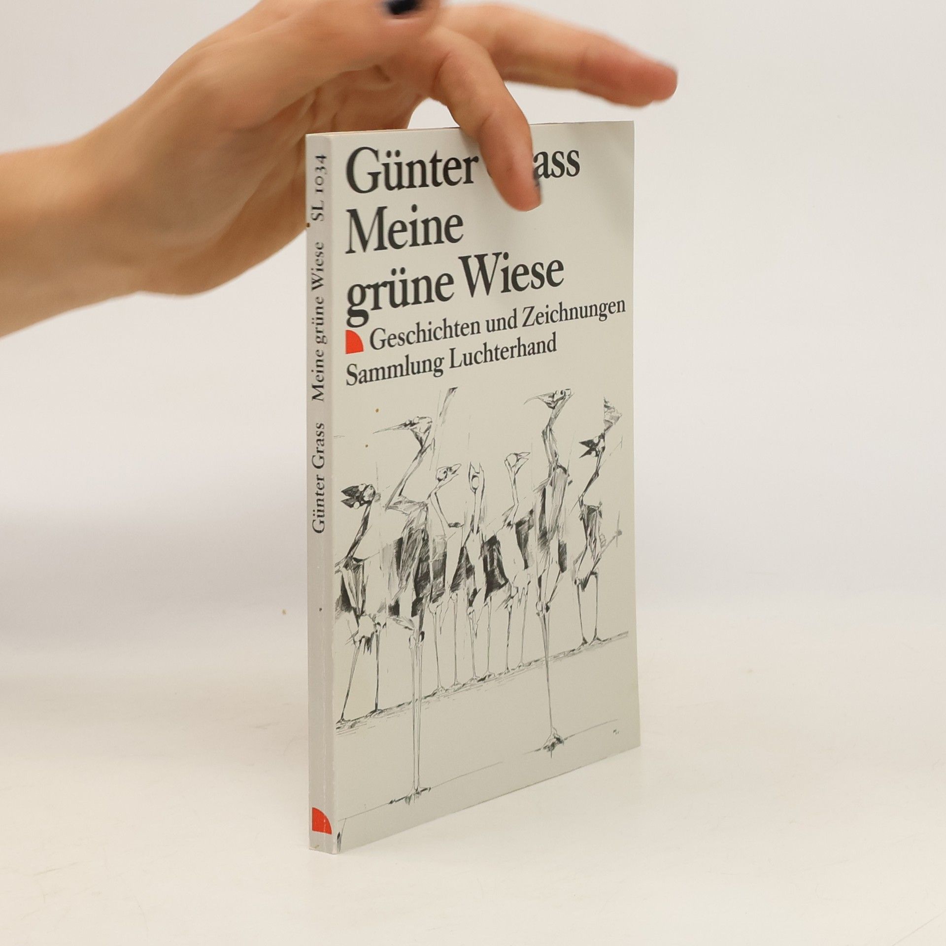 Günter Grass Meine grüne Wiese. Geschichten und Zeichnungen