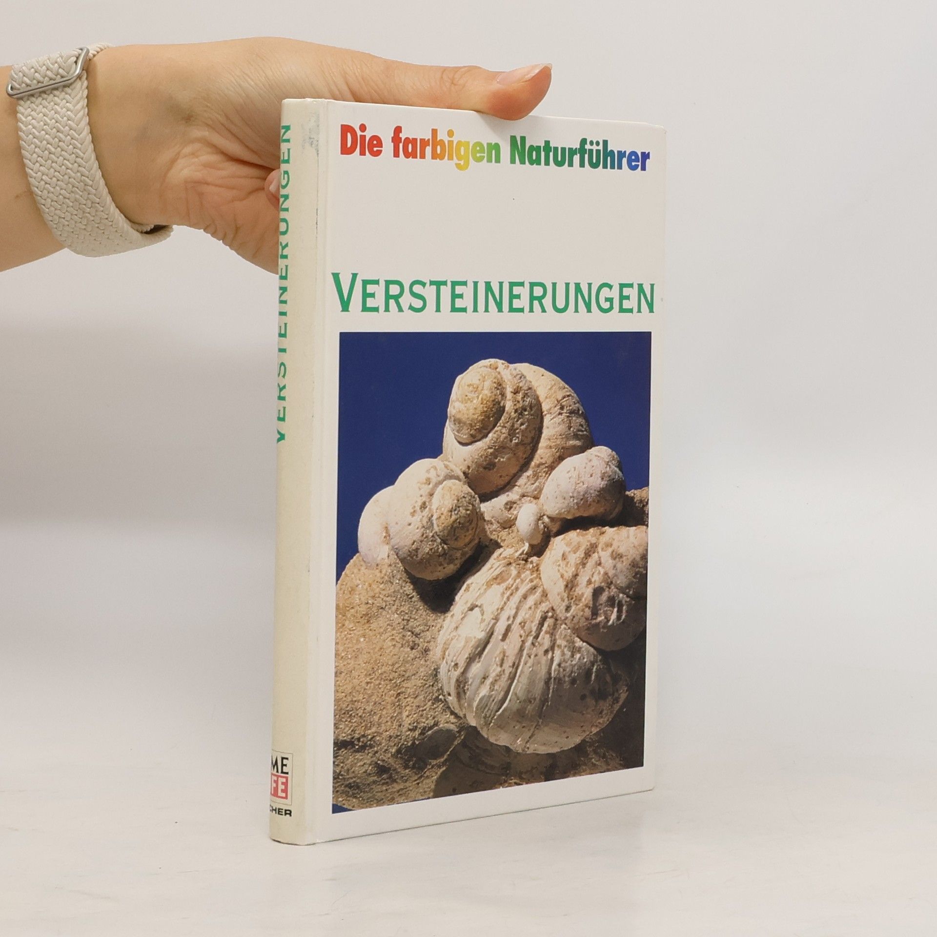kolektiv Versteinerungen