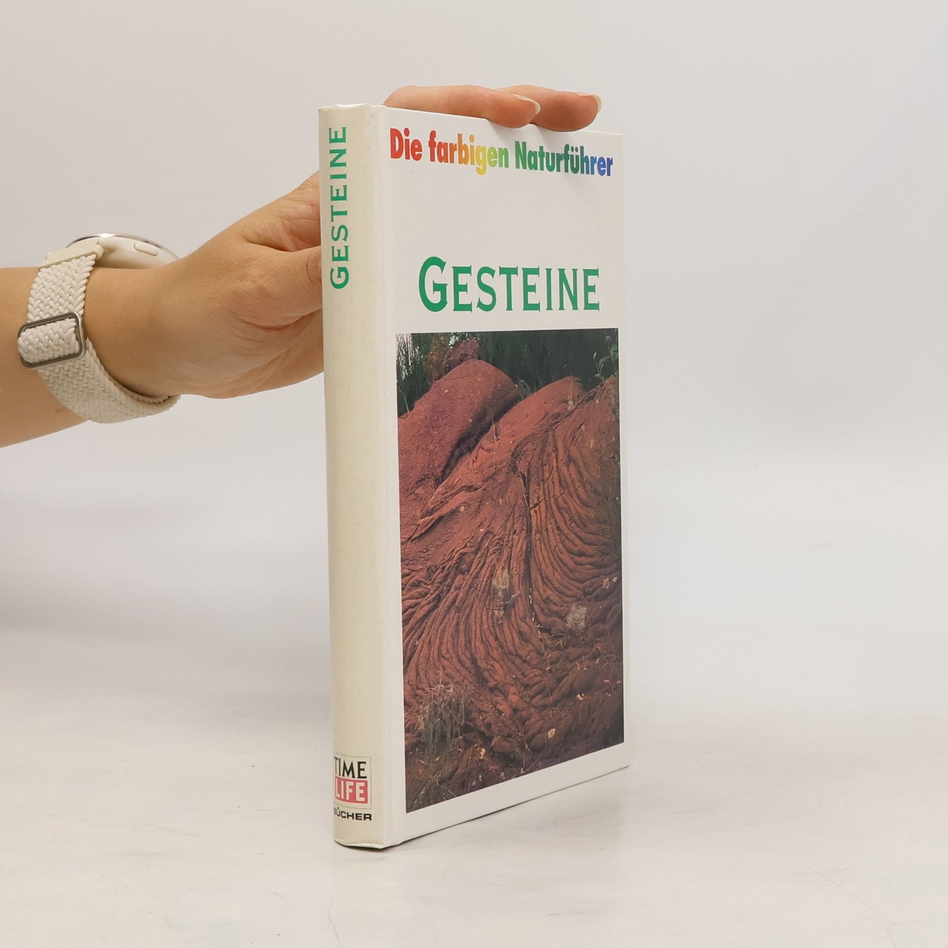 kolektiv Gesteine