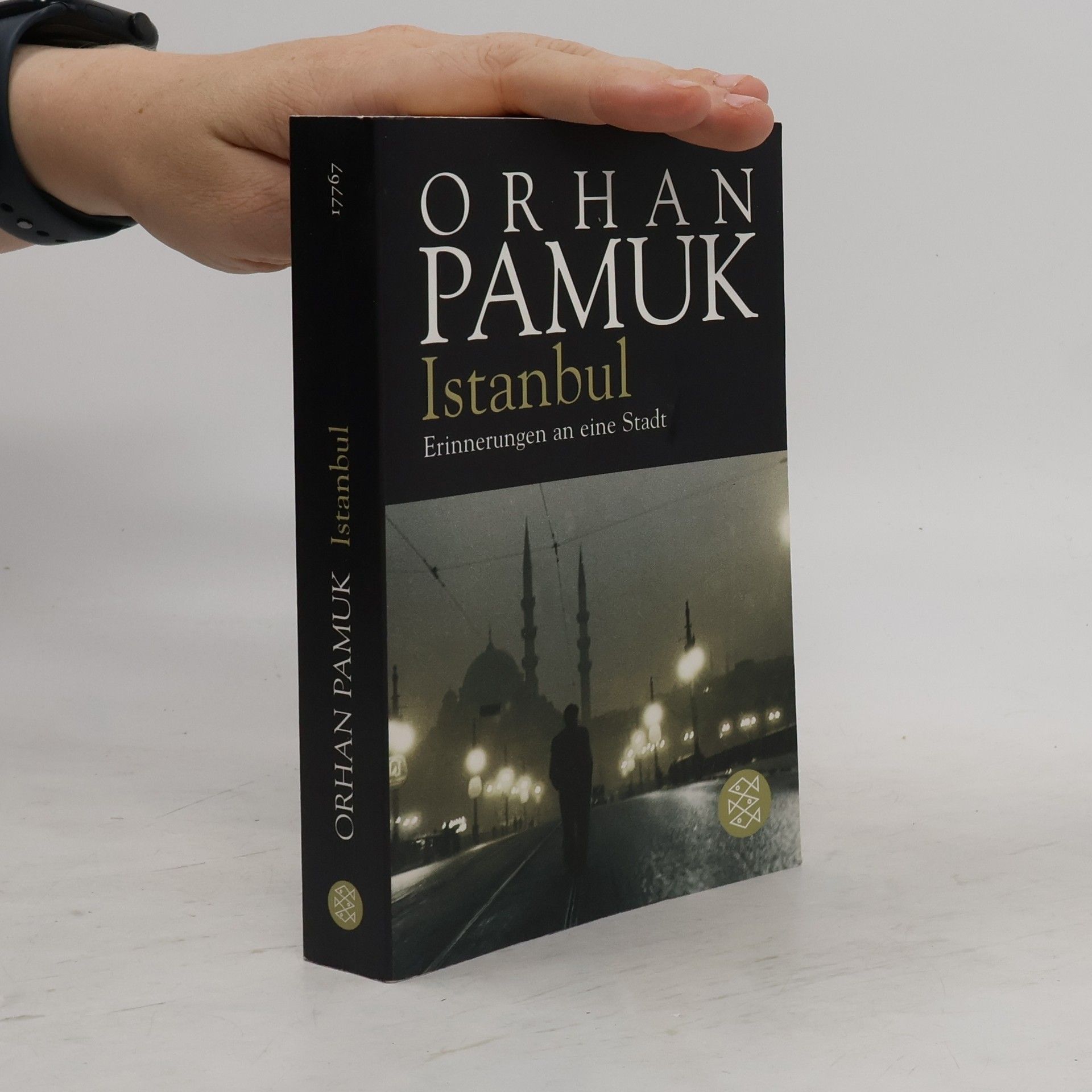 Orhan Pamuk Istanbul - Erinnerungen an eine Stadt
