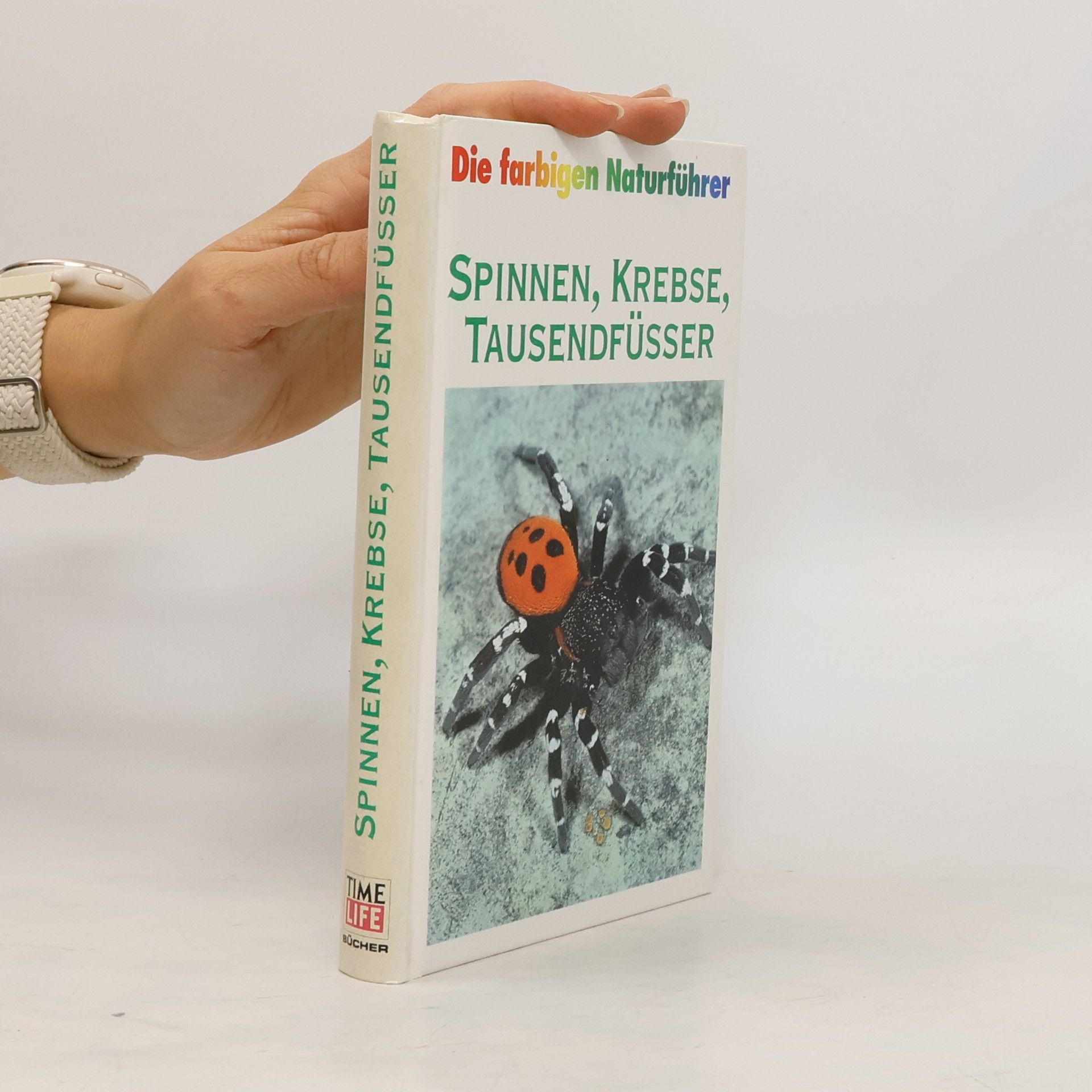 kolektiv Spinnen, Krebse, Tausendfüsser