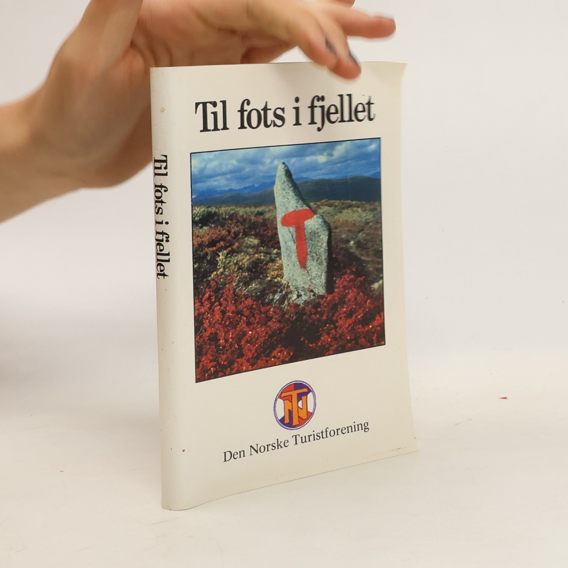 Autorenkollektiv Til fots i fjellet