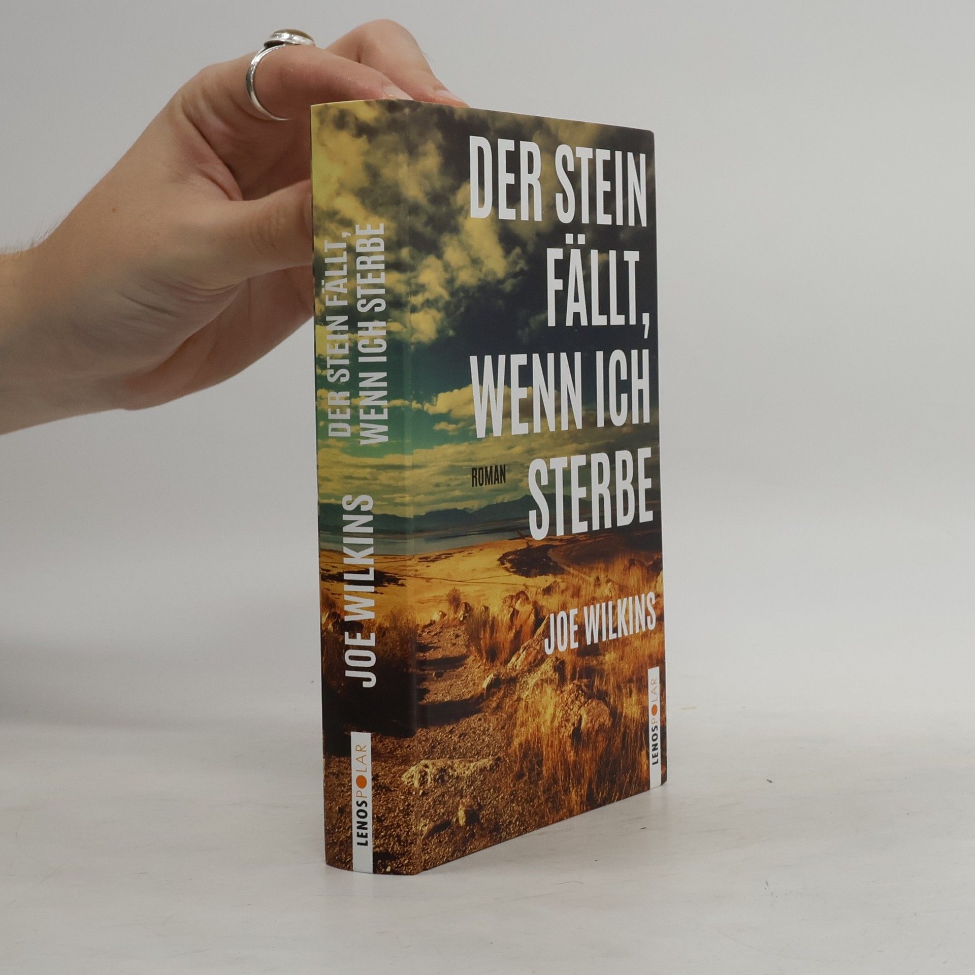 Sean Prentiss Der Stein fällt, wenn ich sterbe