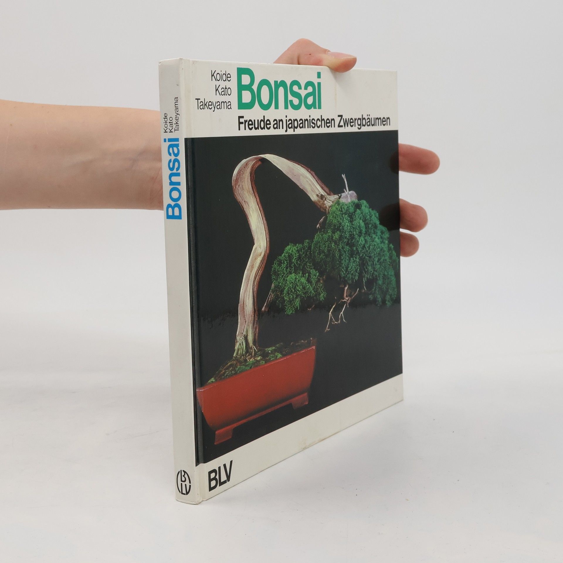 Nobukichi Koide Bonsai