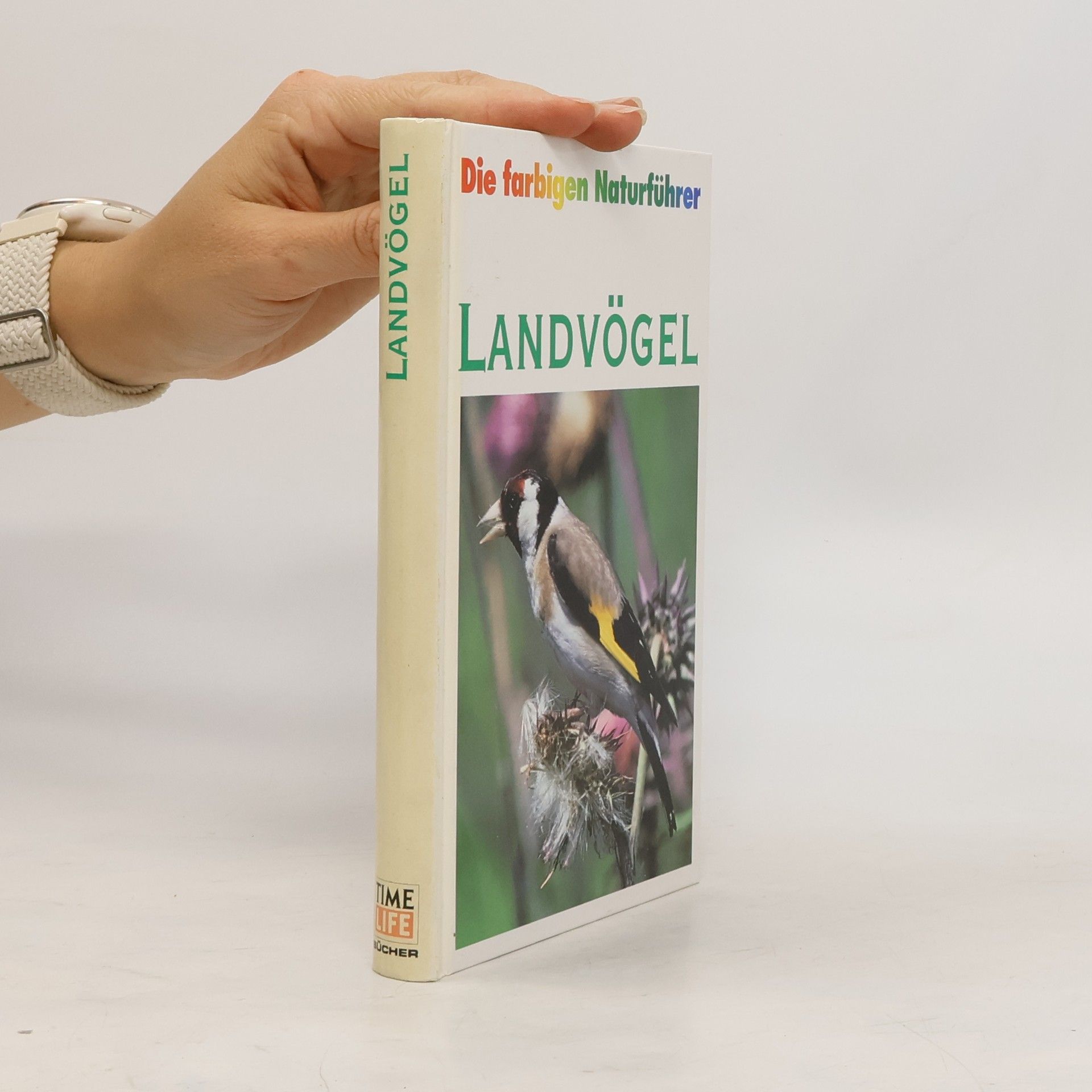 Autorenkollektiv Landvögel