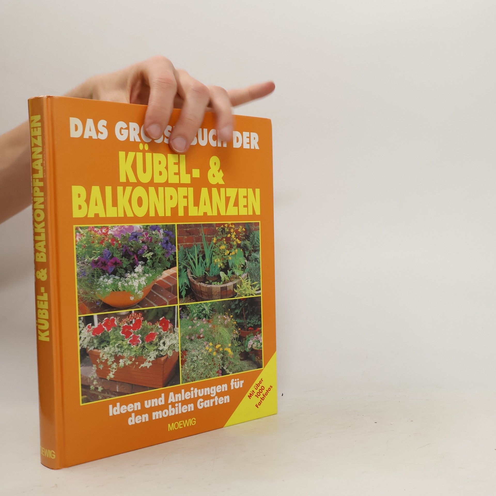 Collectif d'auteurs Das große Buch der Kübel- und Balkonpflanzen