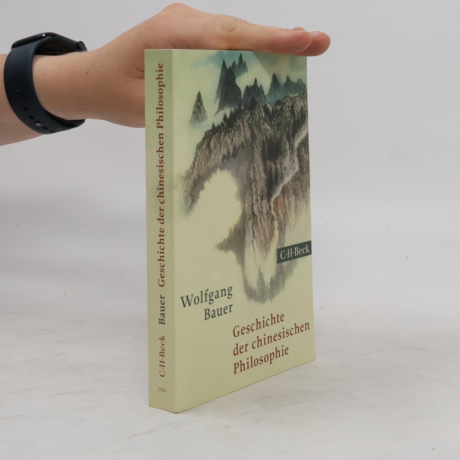 Wolfgang Bauer Geschichte der chinesischen Philosophie