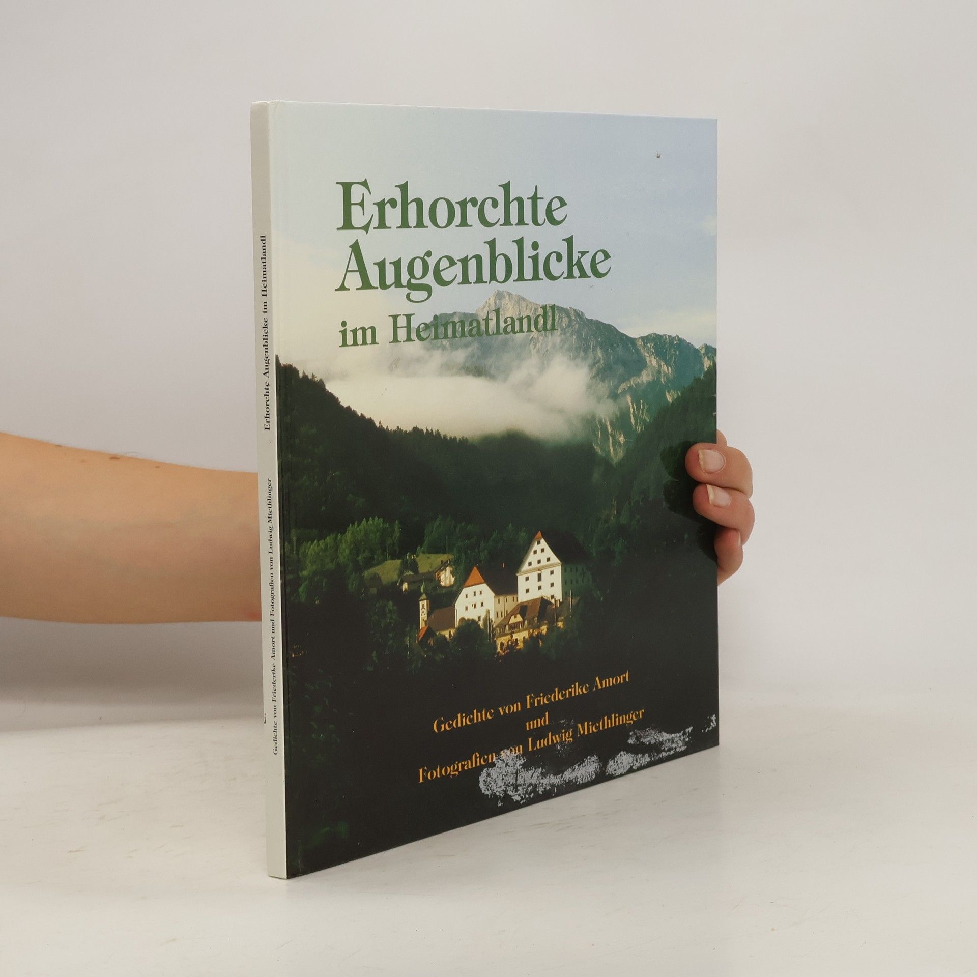 Frederike Amort Erhorchte Augenblicke im Heimatlandl