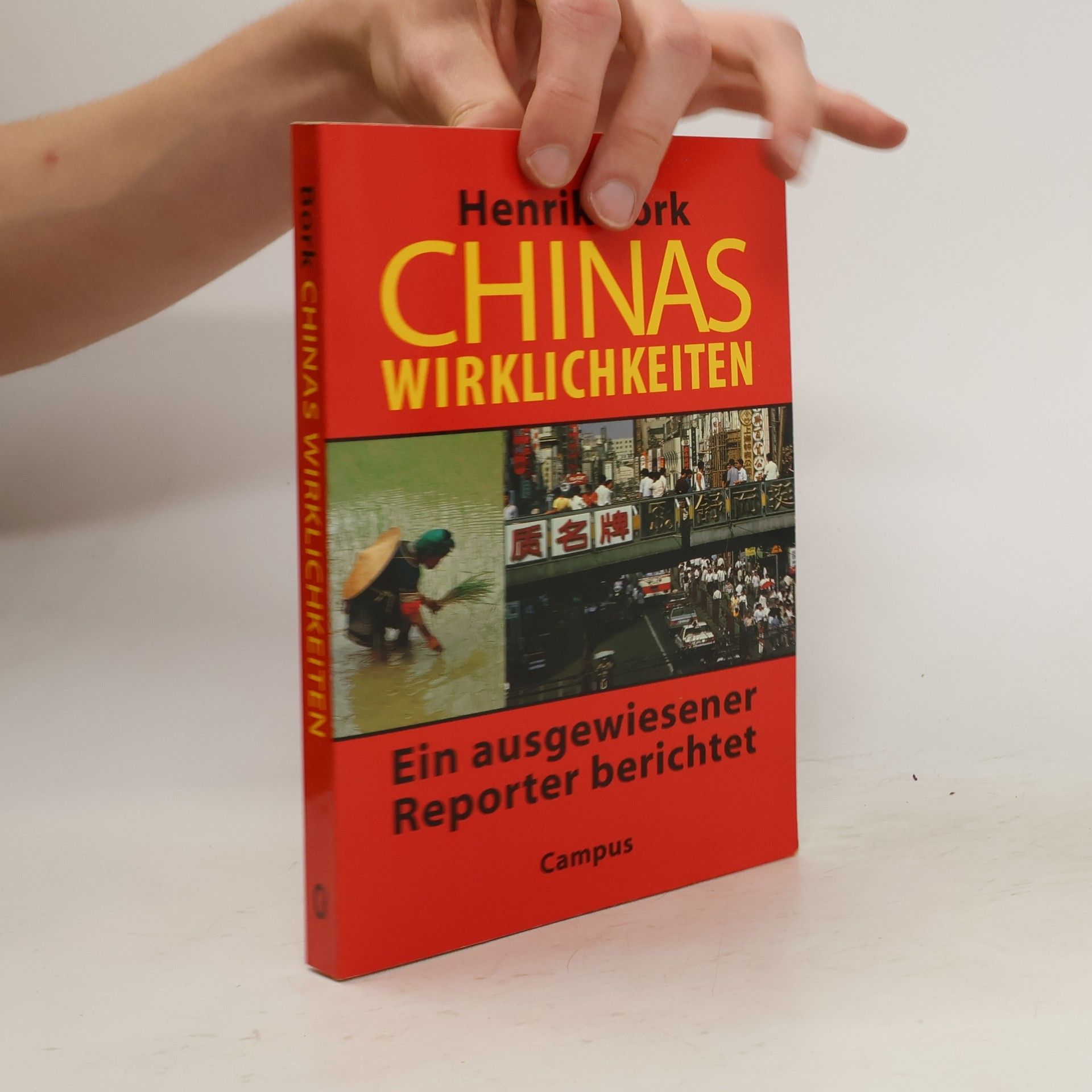 Henrik Bork Chinas Wirklichkeiten