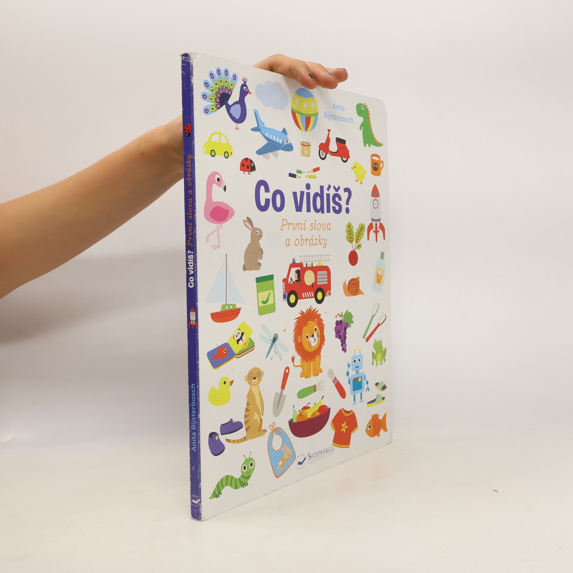 Anita Bijsterbosch Co vidíš? První slova a obrázky