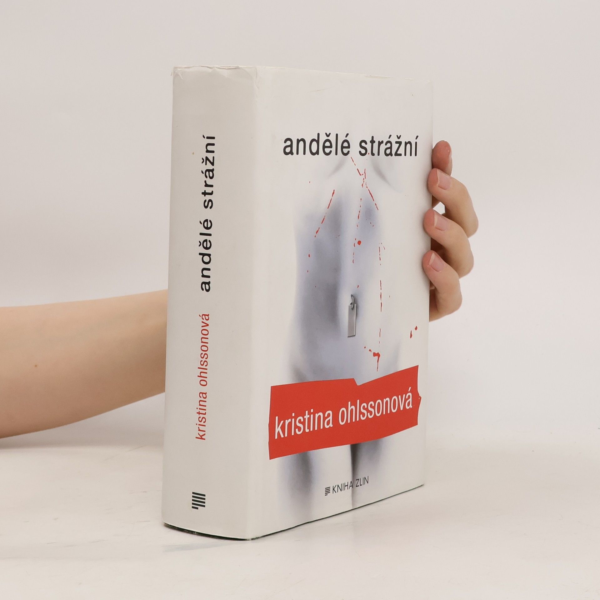 Kristina Ohlssonová Andělé strážní