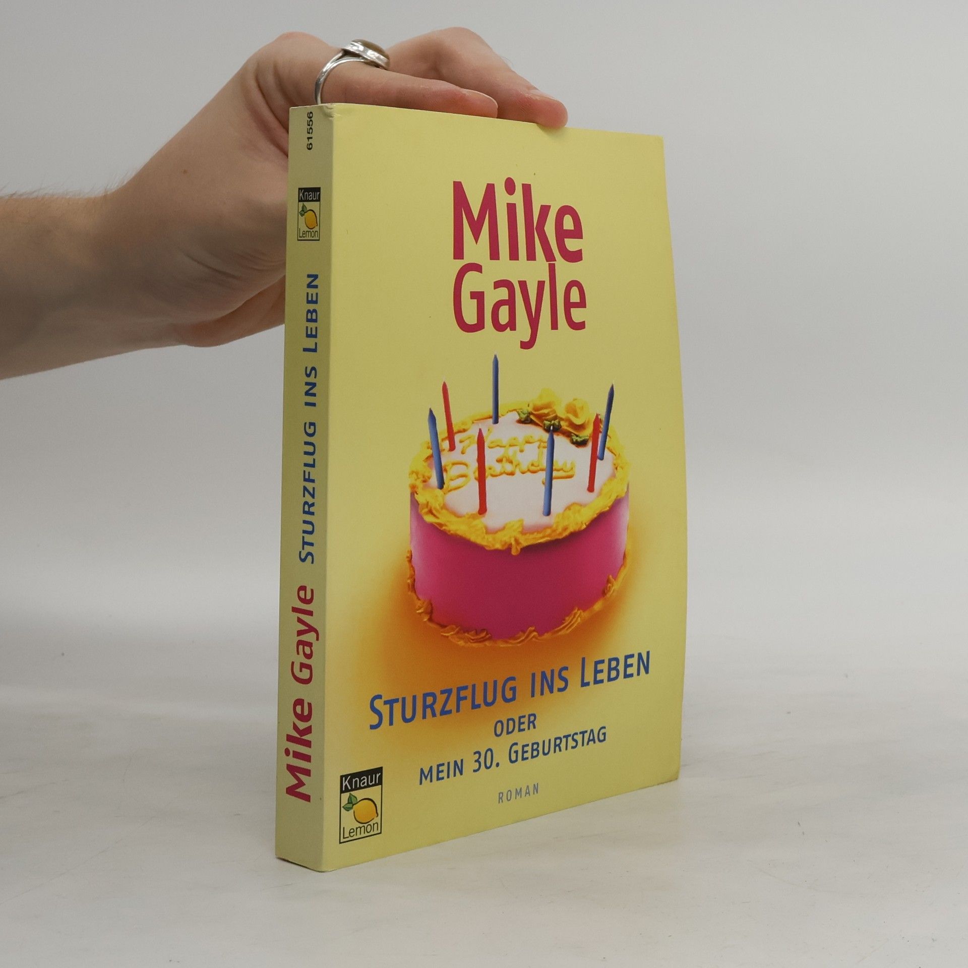 Mike Gayle Sturzflug ins Leben oder mein 30. Geburtstag