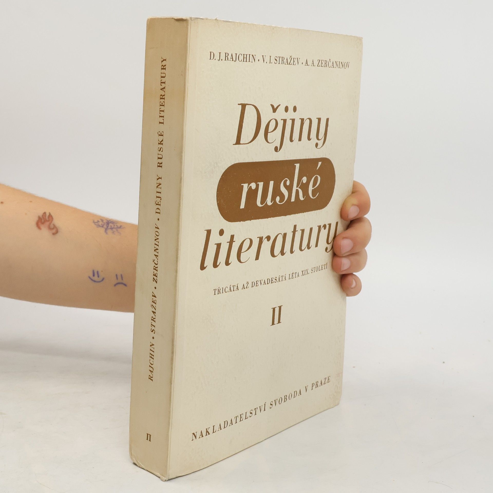 D.J. Rajchin Dějiny ruské literatury II.díl