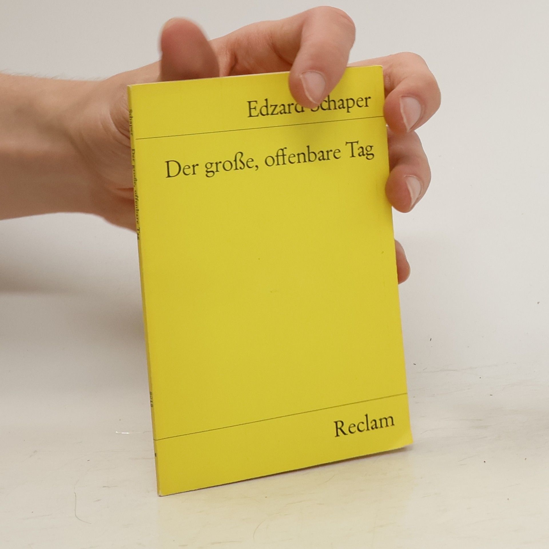 Edzard Schaper Der große, offenbare Tag. Erzählung e. Freundes