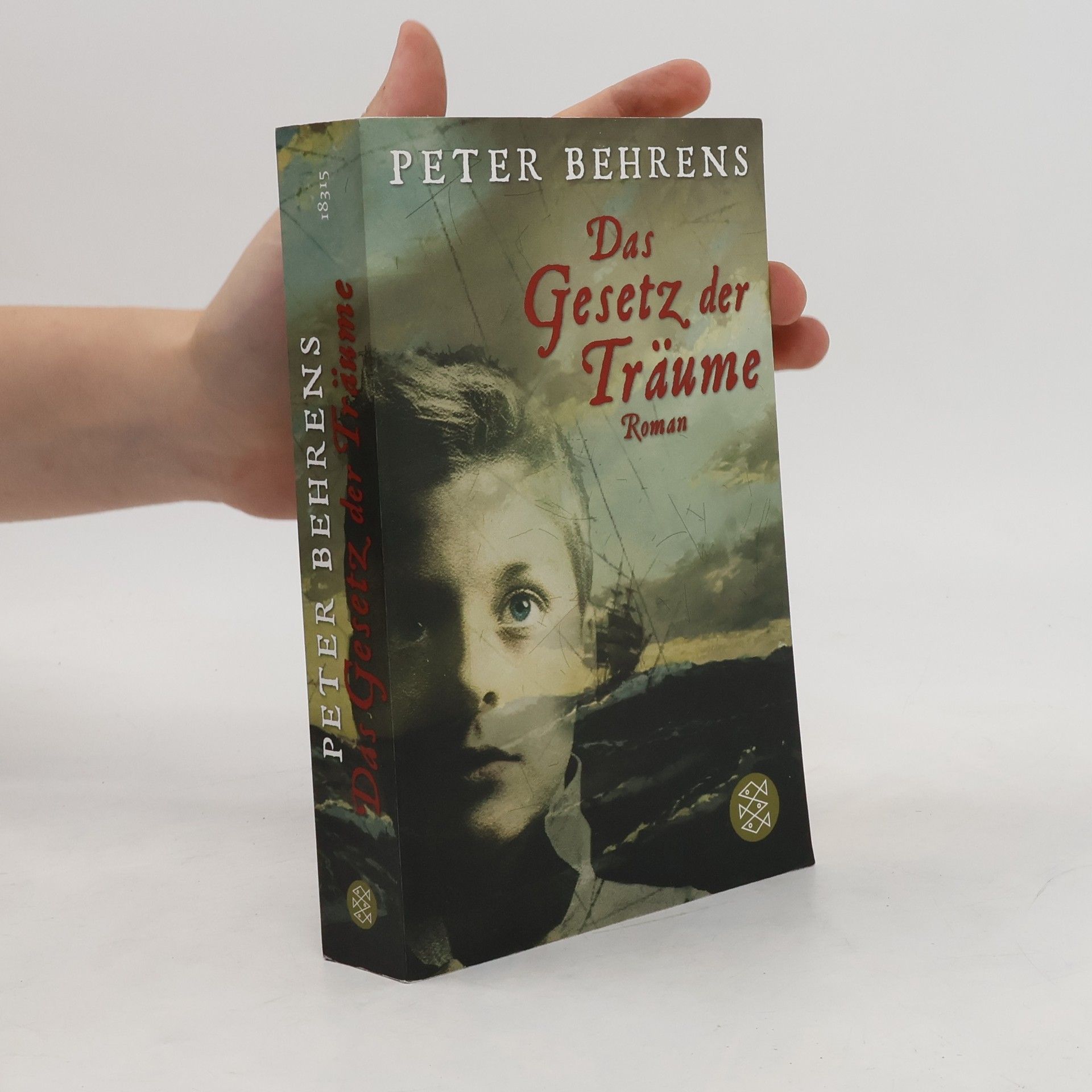 Peter Behrens Das Gesetz der Träume. Roman