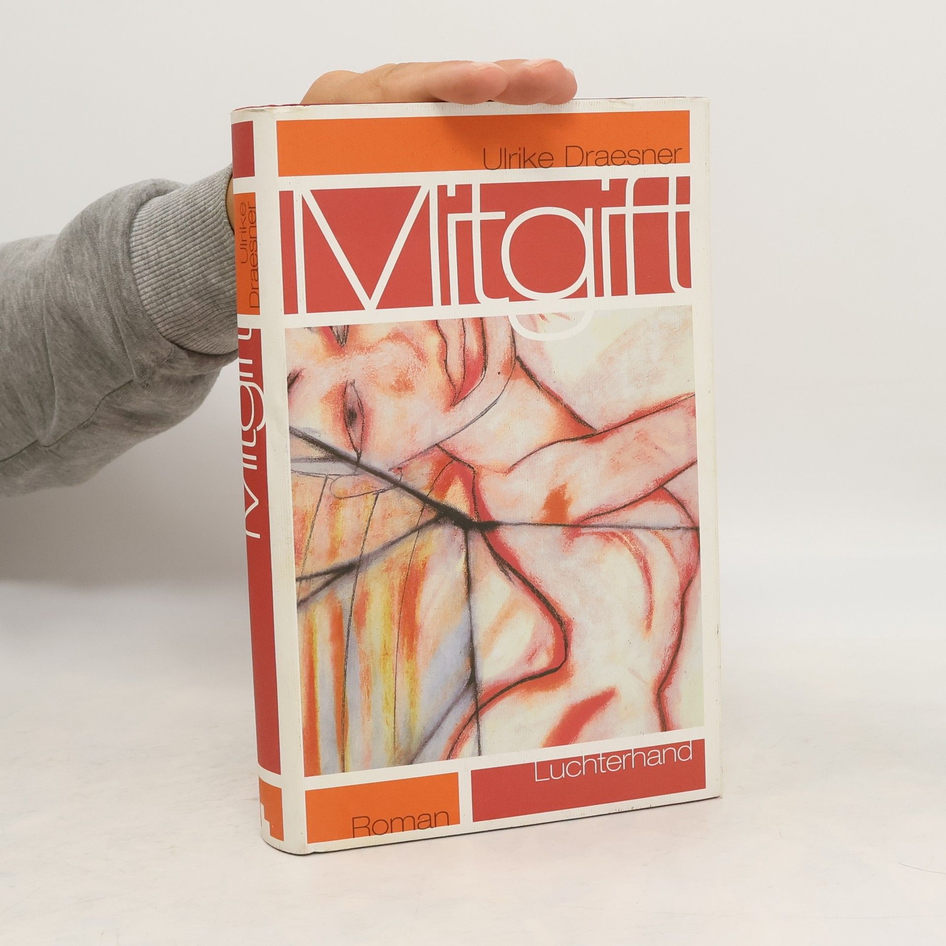 Ulrike Draesner Mitgift