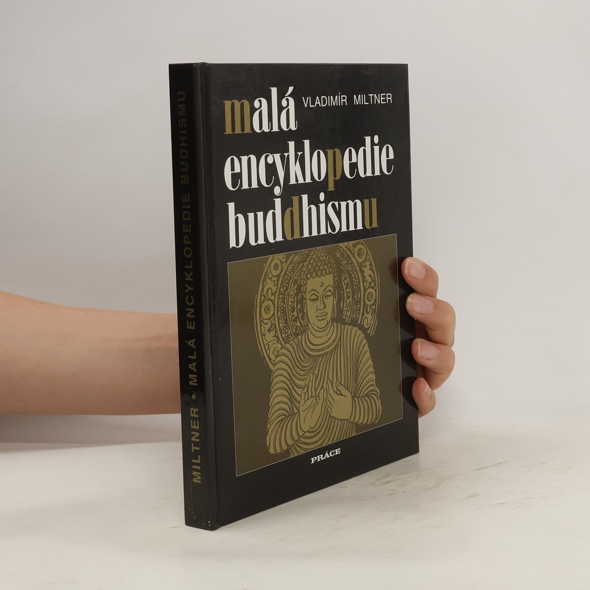 Vladimír Miltner Malá encyklopedie buddhismu