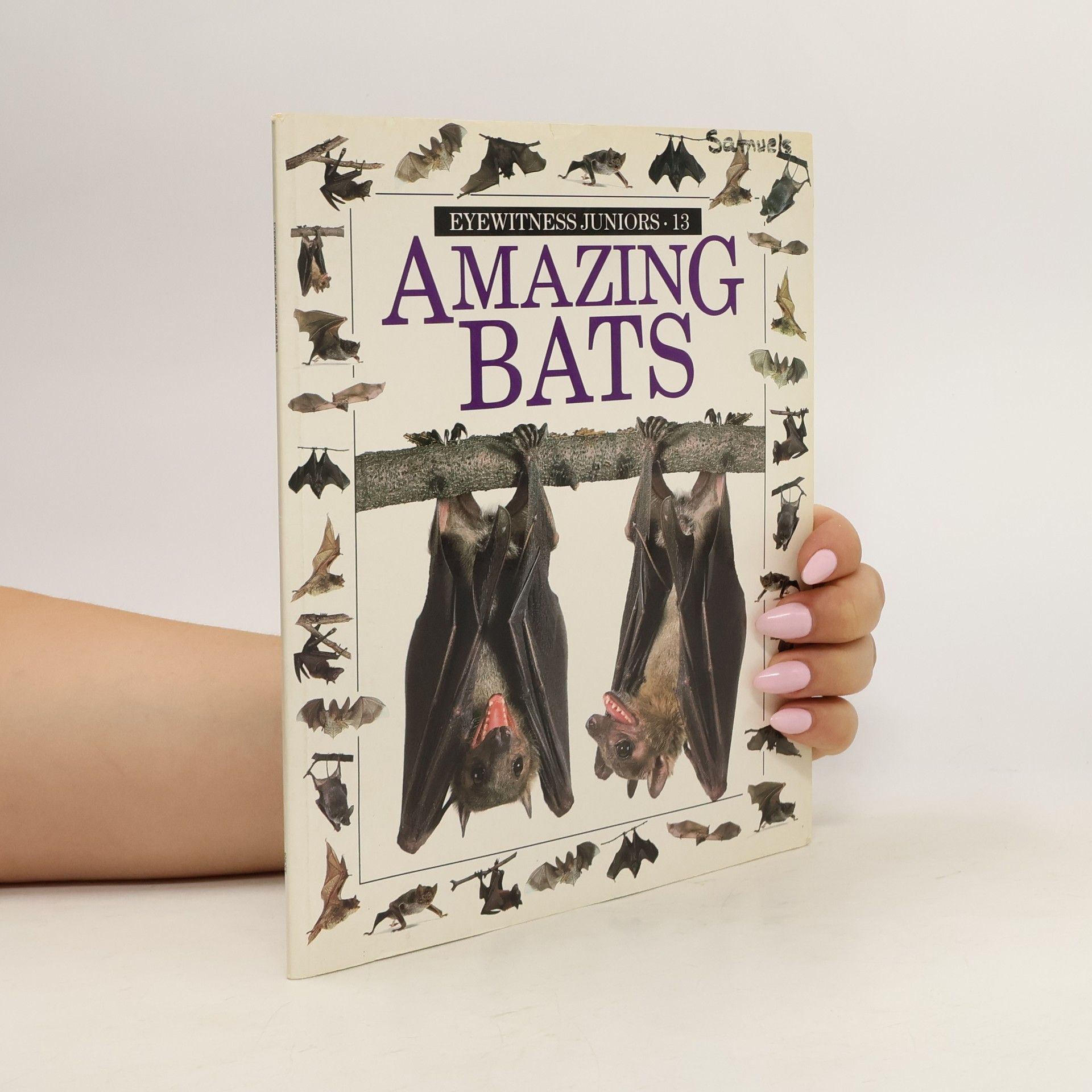 Frank Greenaway Amazing Bats