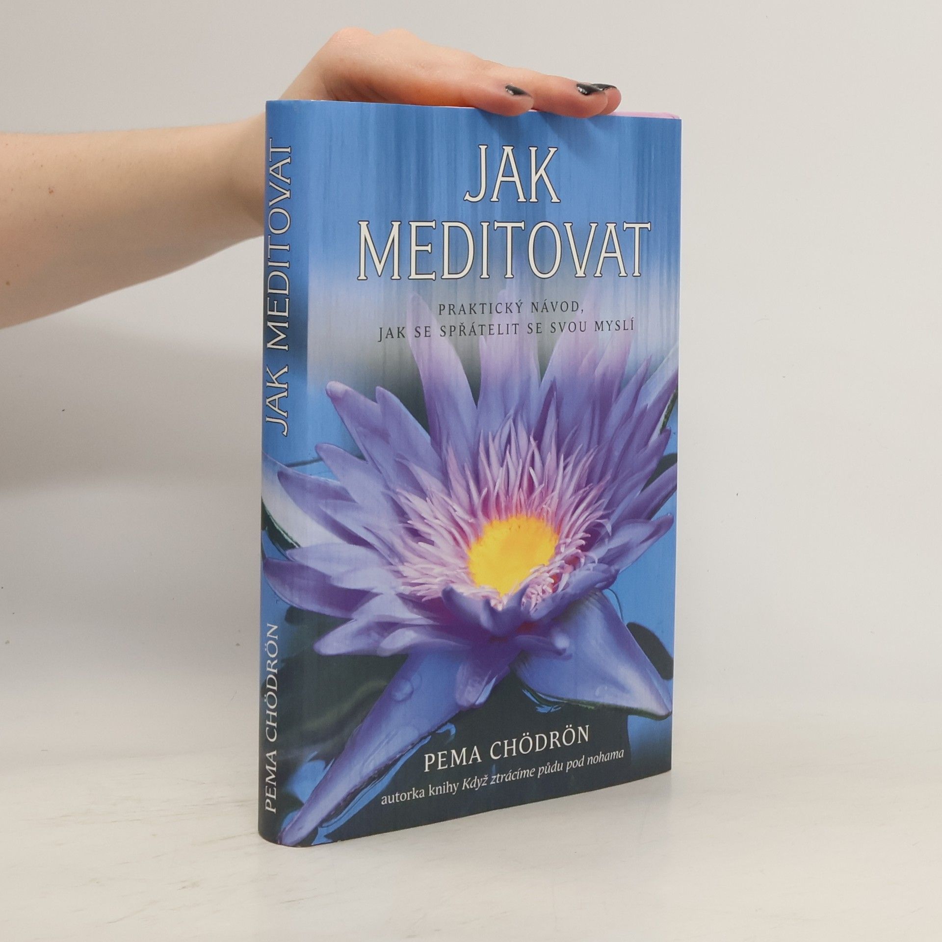 Pema Chödrön Jak meditovat