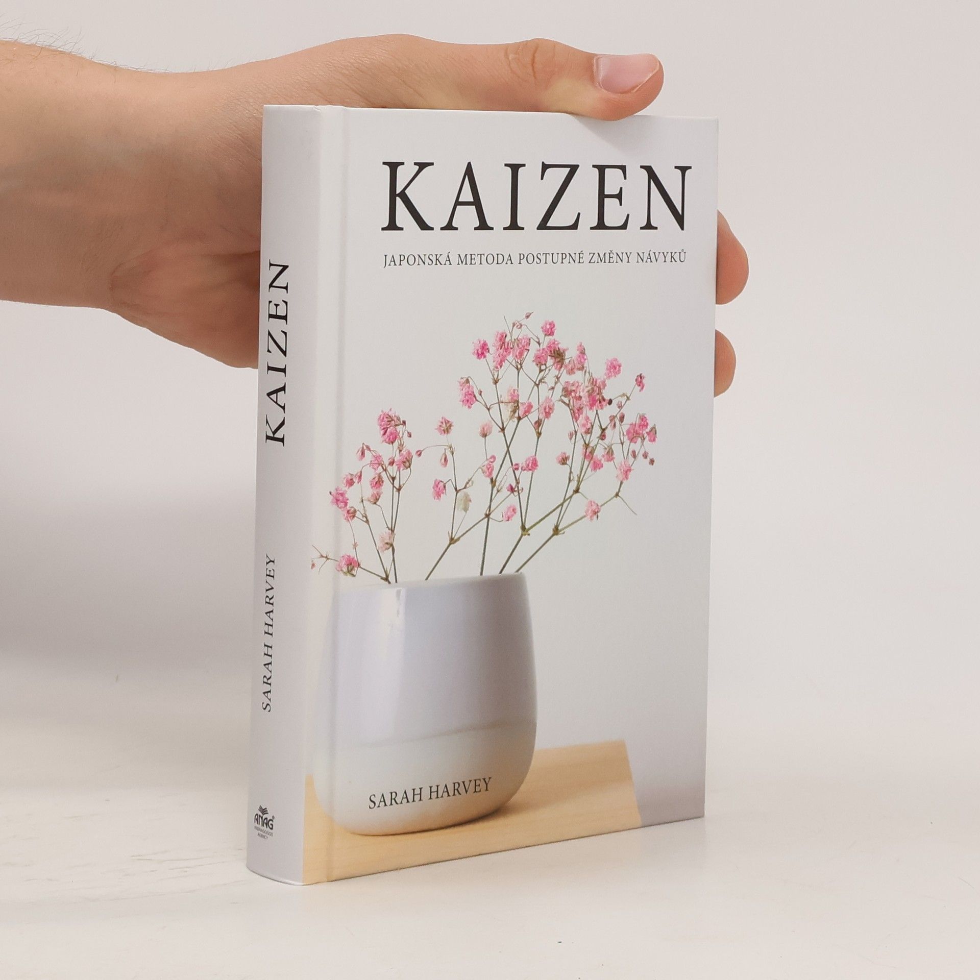 Sarah Harvey Kaizen: Japonská metoda postupné změny návyků