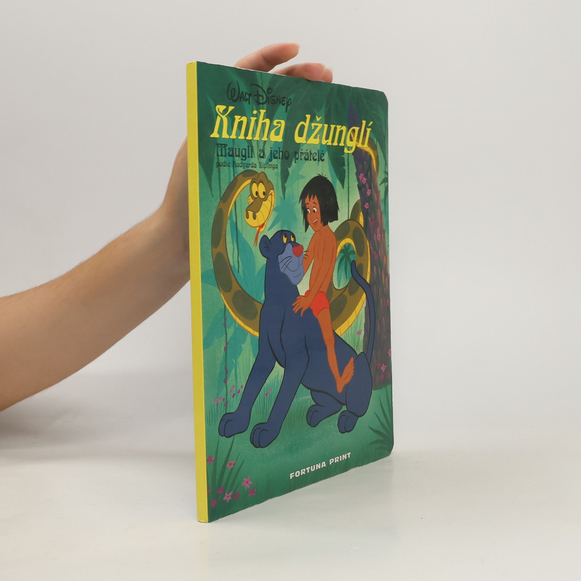 Rudyard Kipling Kniha džunglí. Mauglí a jeho přátelé