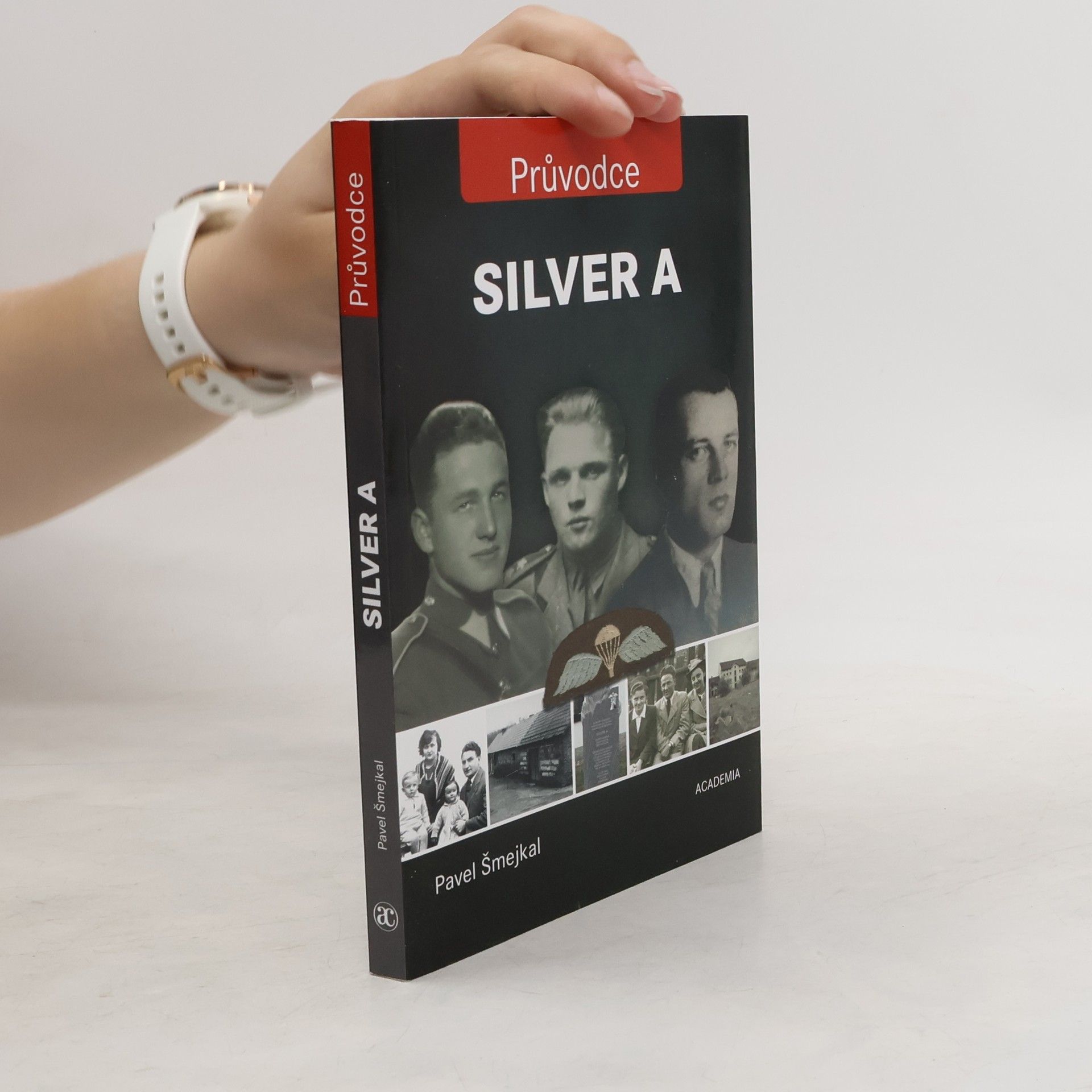 Pavel Šmejkal Silver A