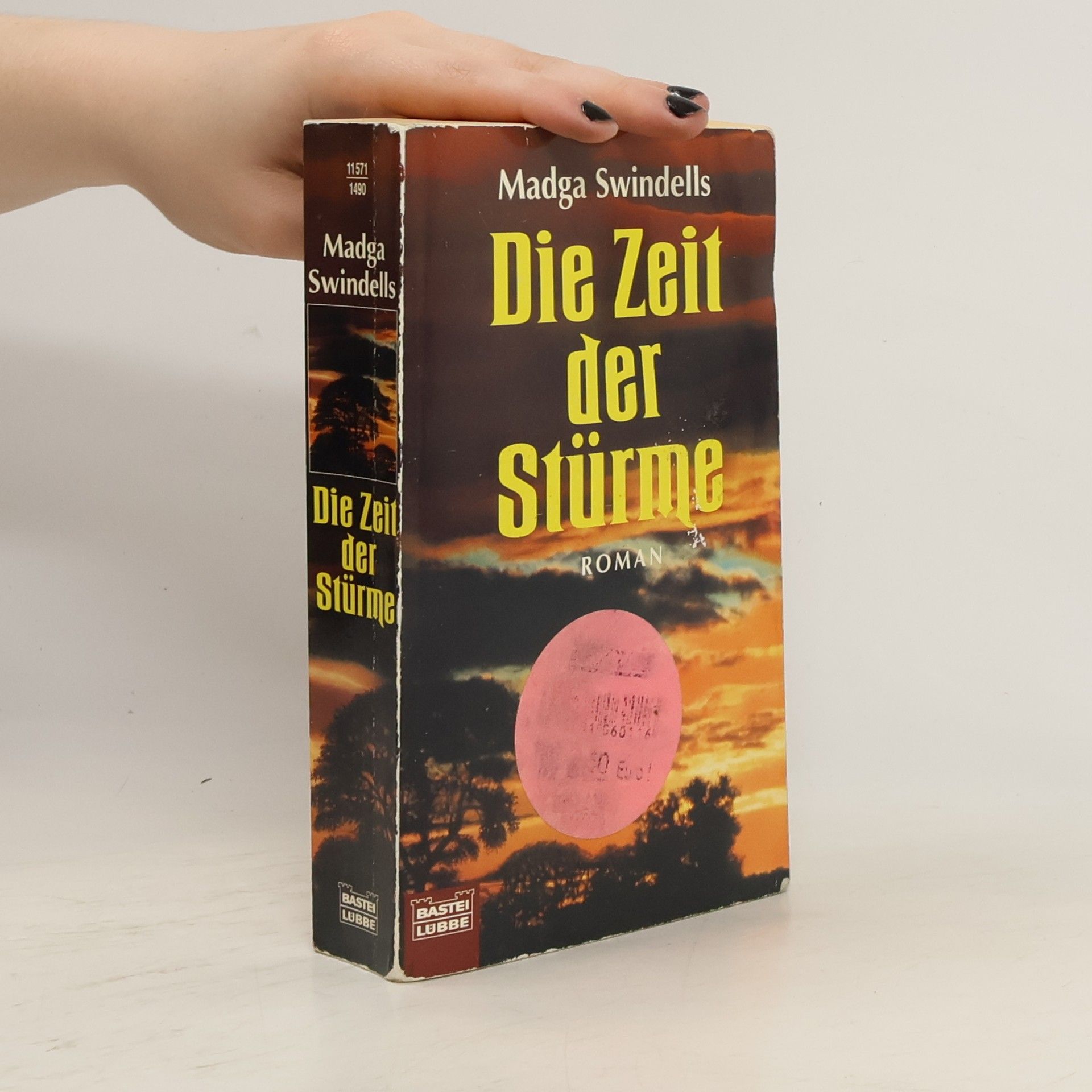 Madge Swindellis Die Zeit der Stürme