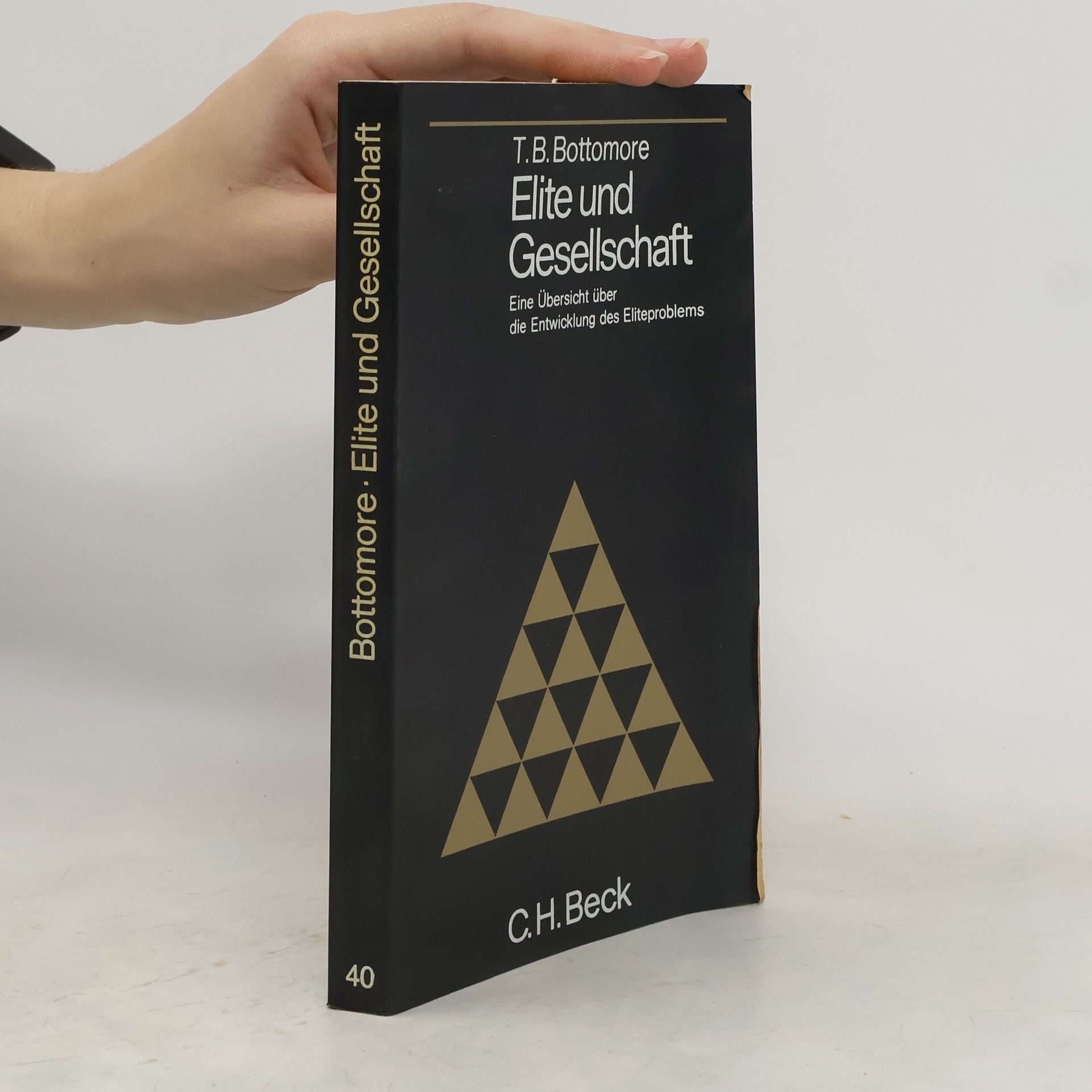 Thomas B. Bottomore Elite und Gesellschaft
