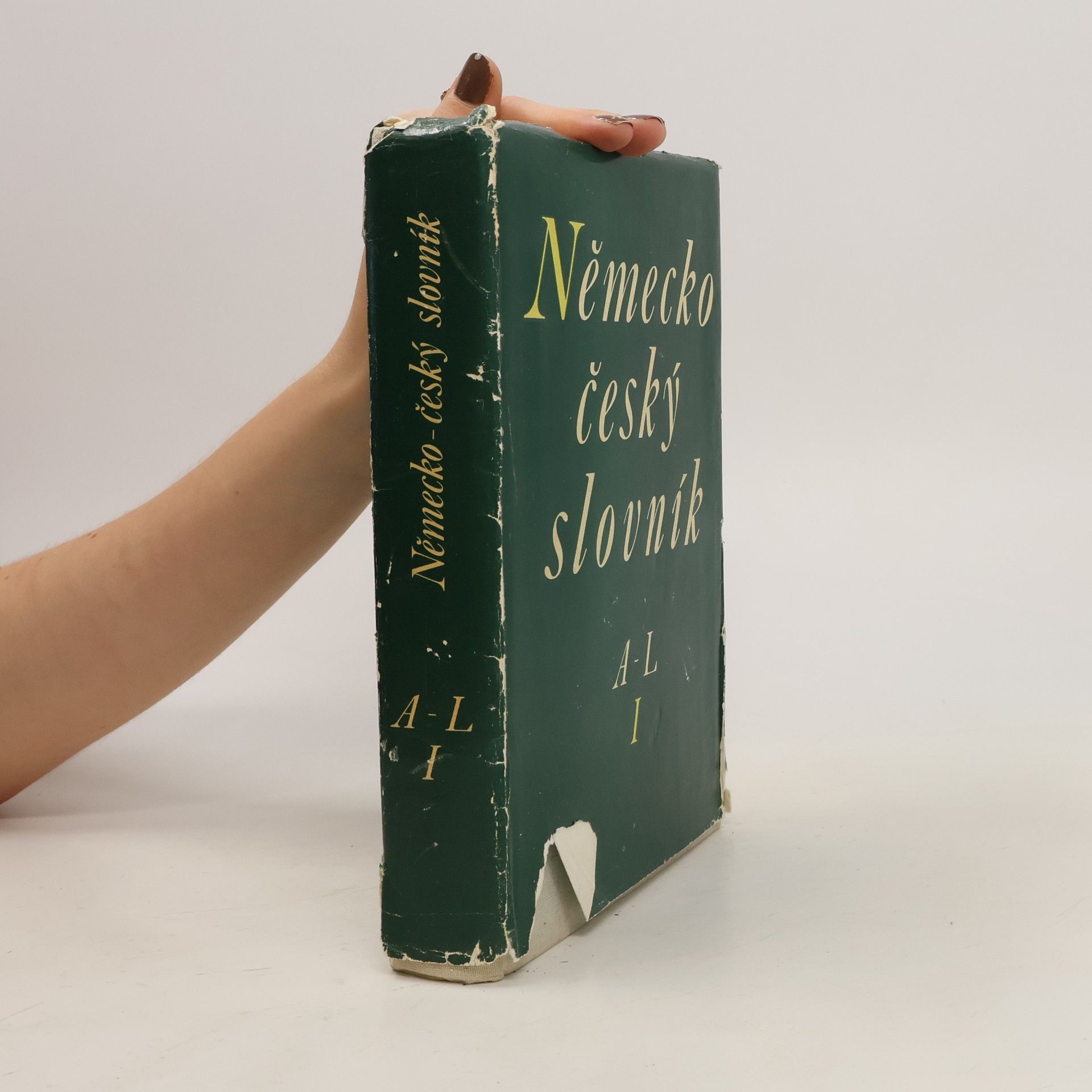 Autorenkollektiv Německo-český slovník A-L