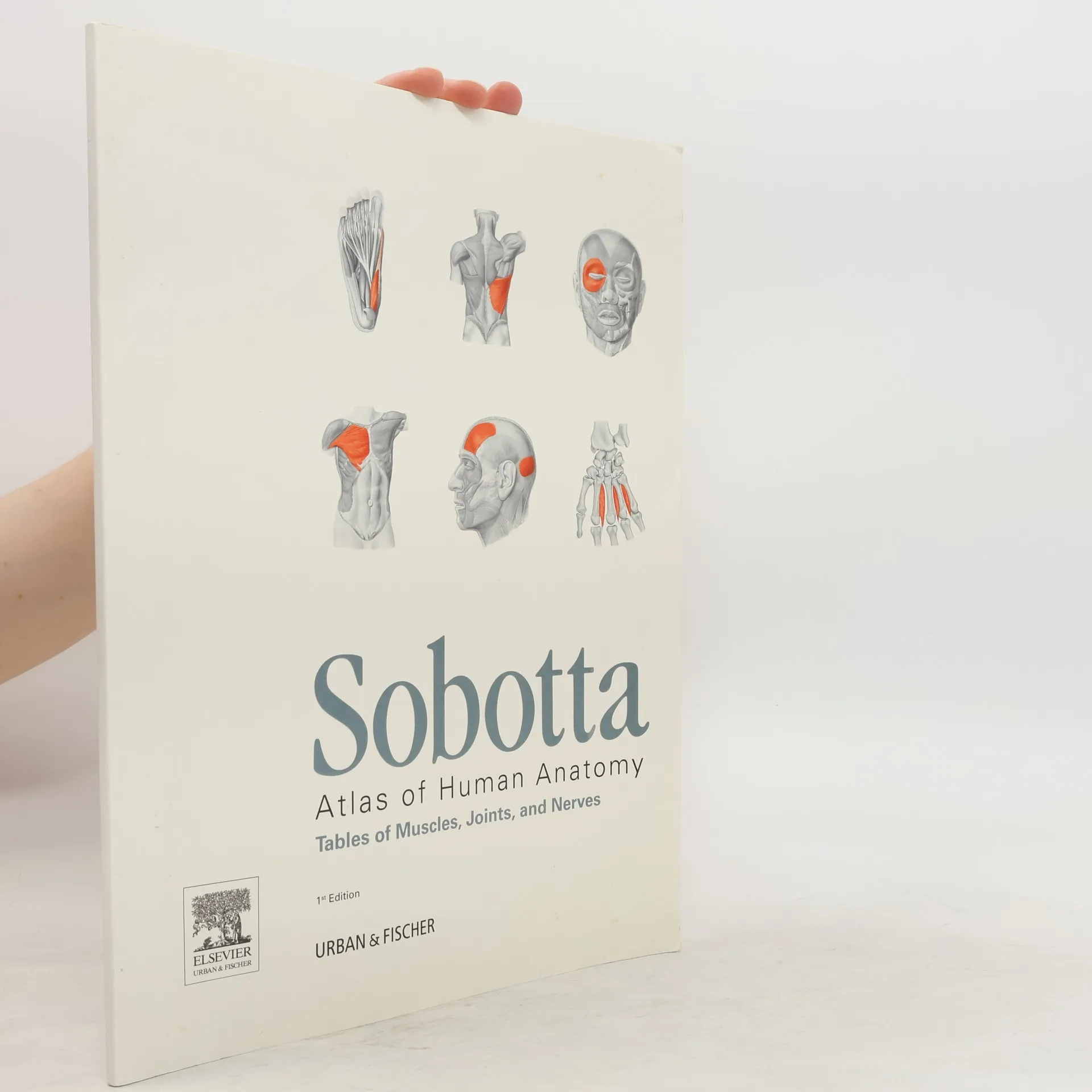 Sobotta Atlas of Human Anatomy | Book | Paperback | Friedrich Paulsen | EN