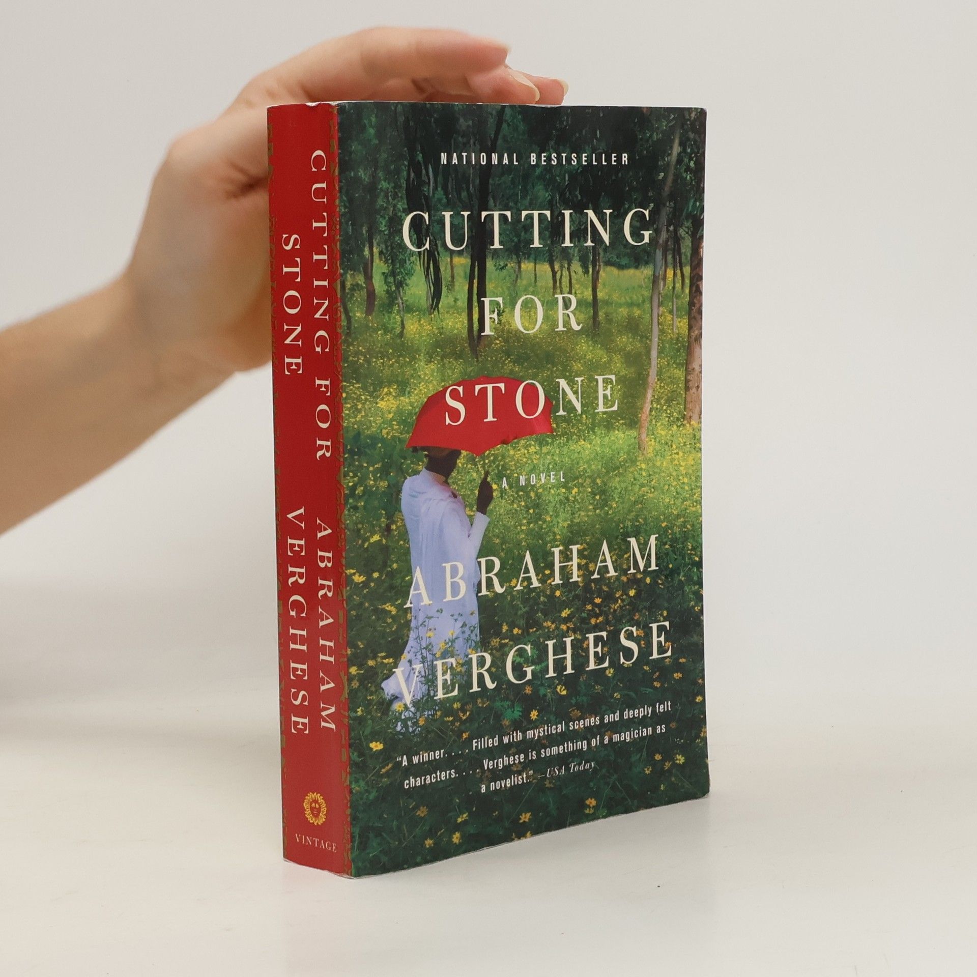 A. Abraham Verghese Cutting for Stone