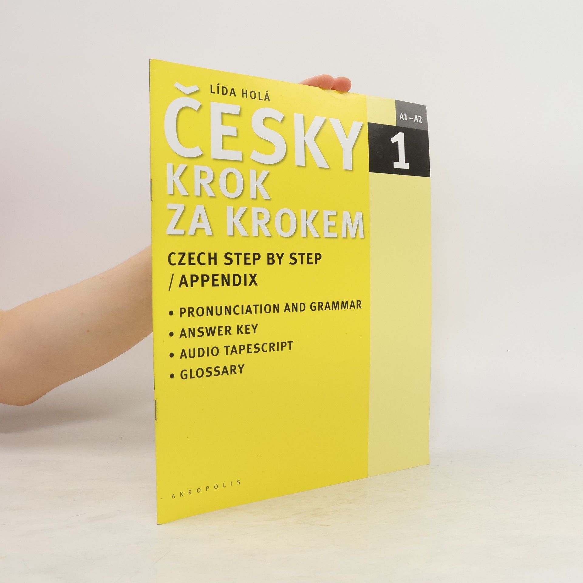 Lída Holá Česky krok za krokem 1. A1-A2 příloha
