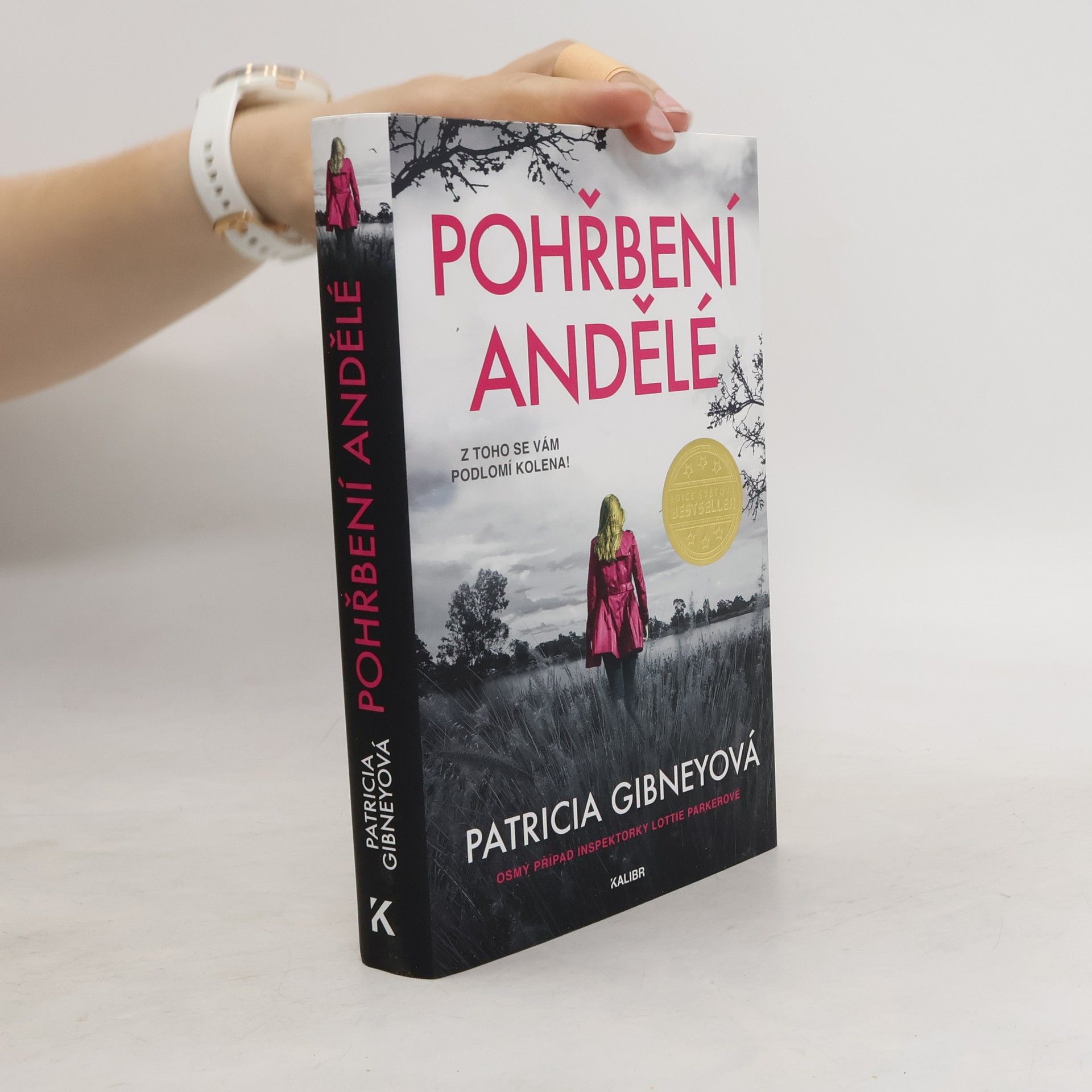 Drahomíra Michnová Pohřbení andělé