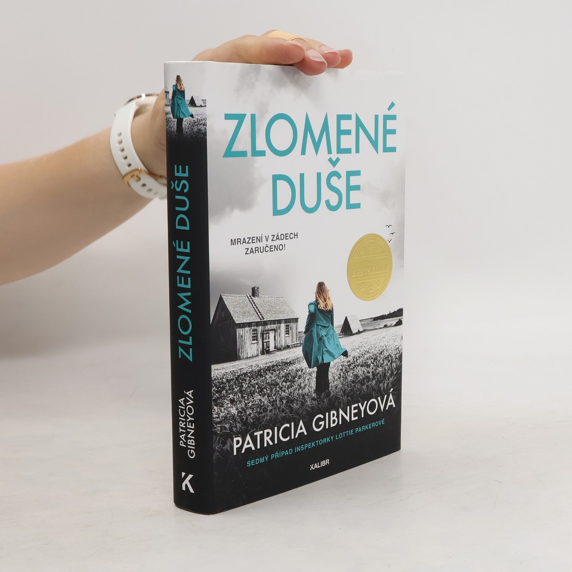 Patricia Gibney Zlomené Duše