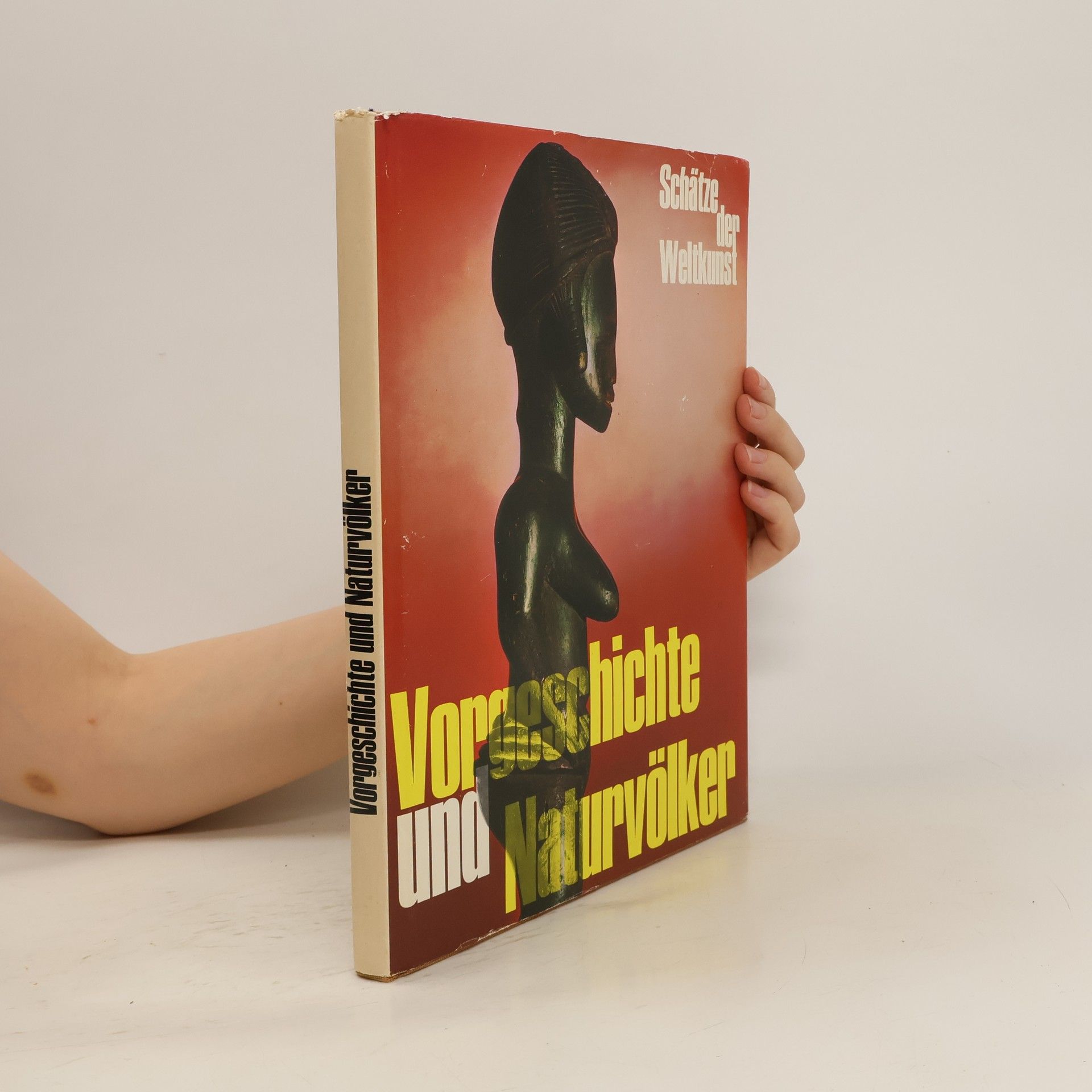AA.VV. Vorgeschichte und Naturvölker