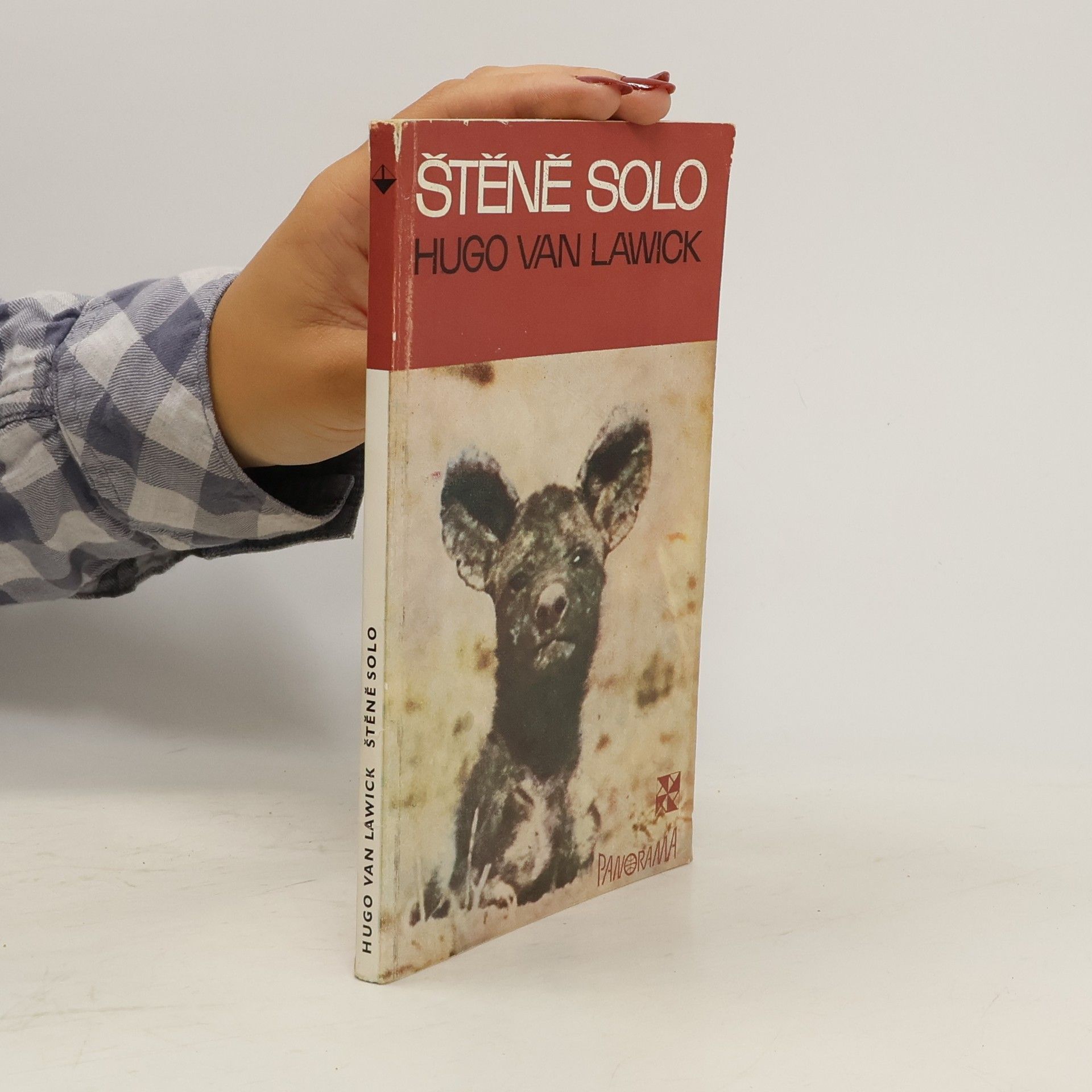 Hugo van Lawick Štěně Solo