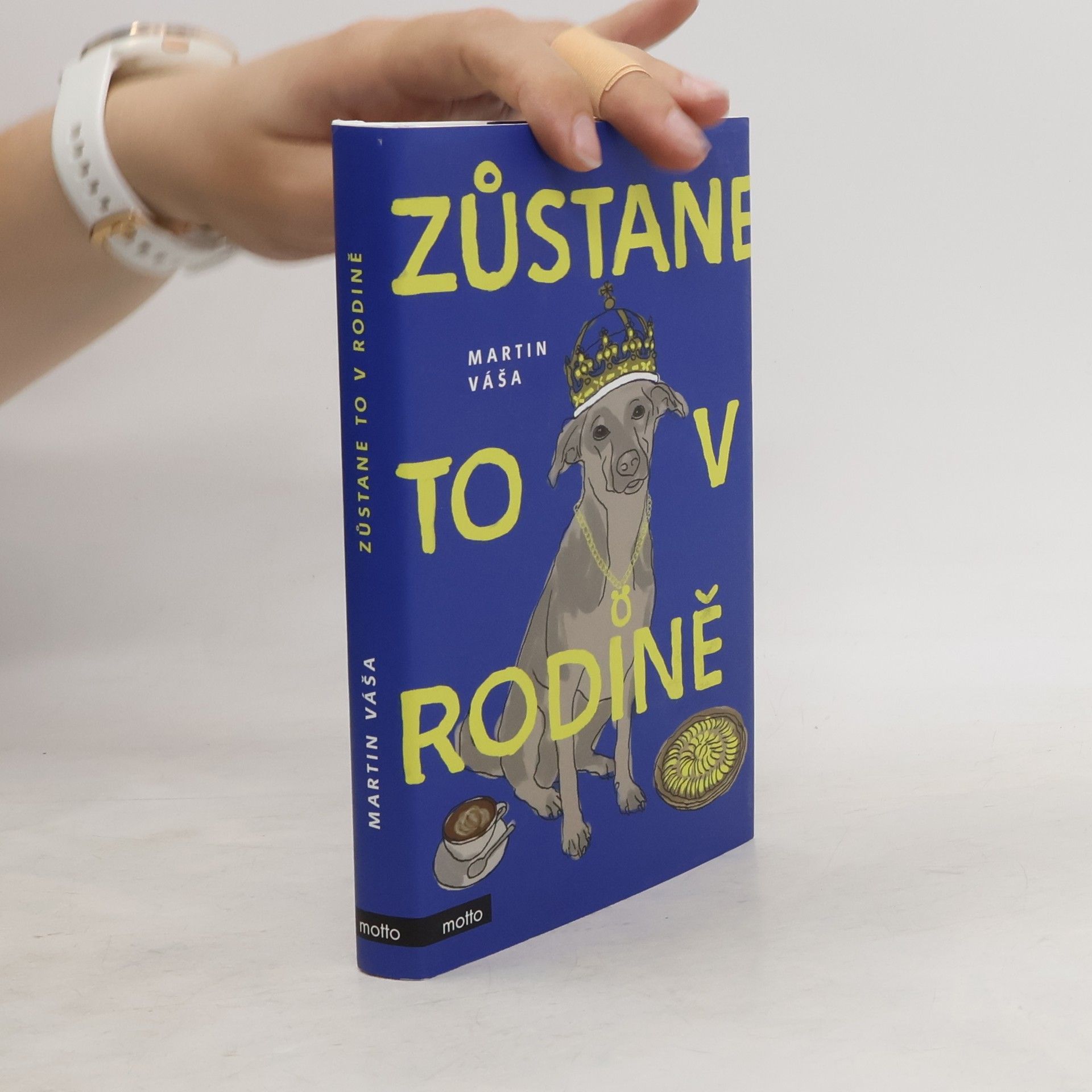 Martin Váša Zůstane to v rodině