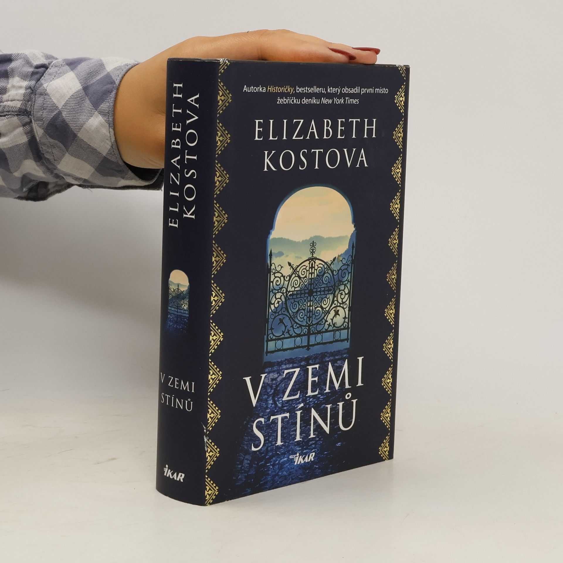 Elizabeth Kostova V zemi stínů