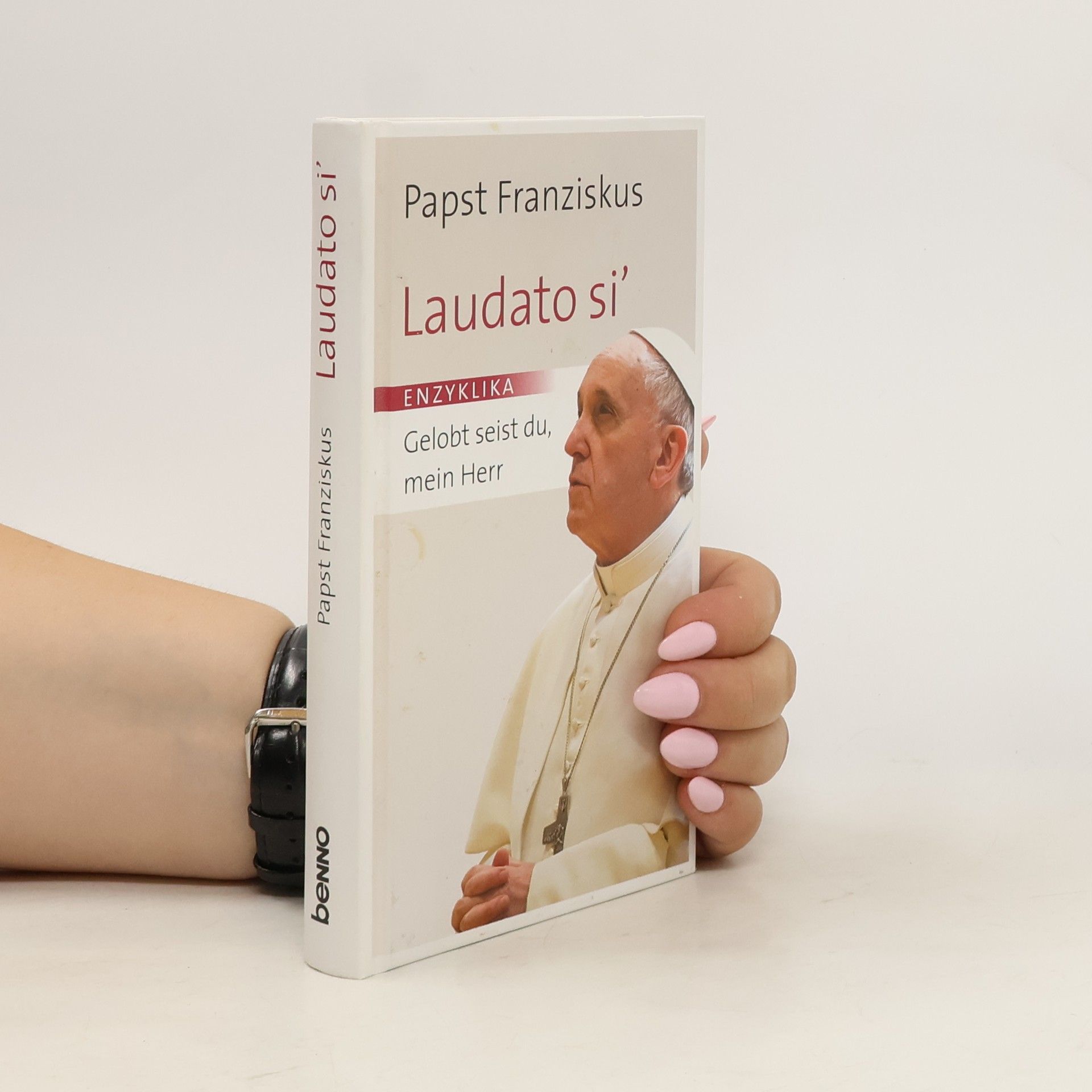 Papst Franziskus Laudato si' : Gelobt seist du, mein Herr