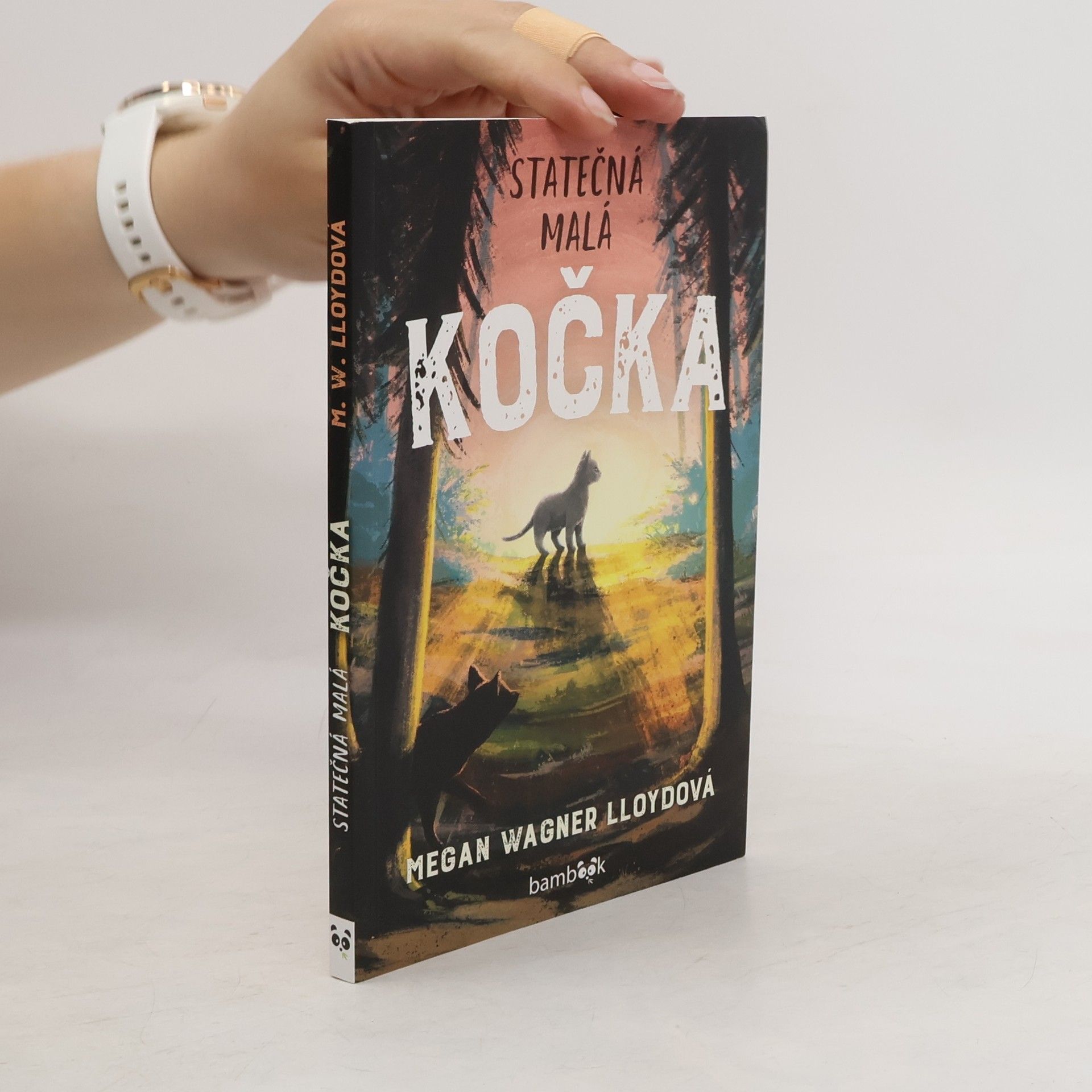 Megan Wagner Lloyd Statečná malá kočka