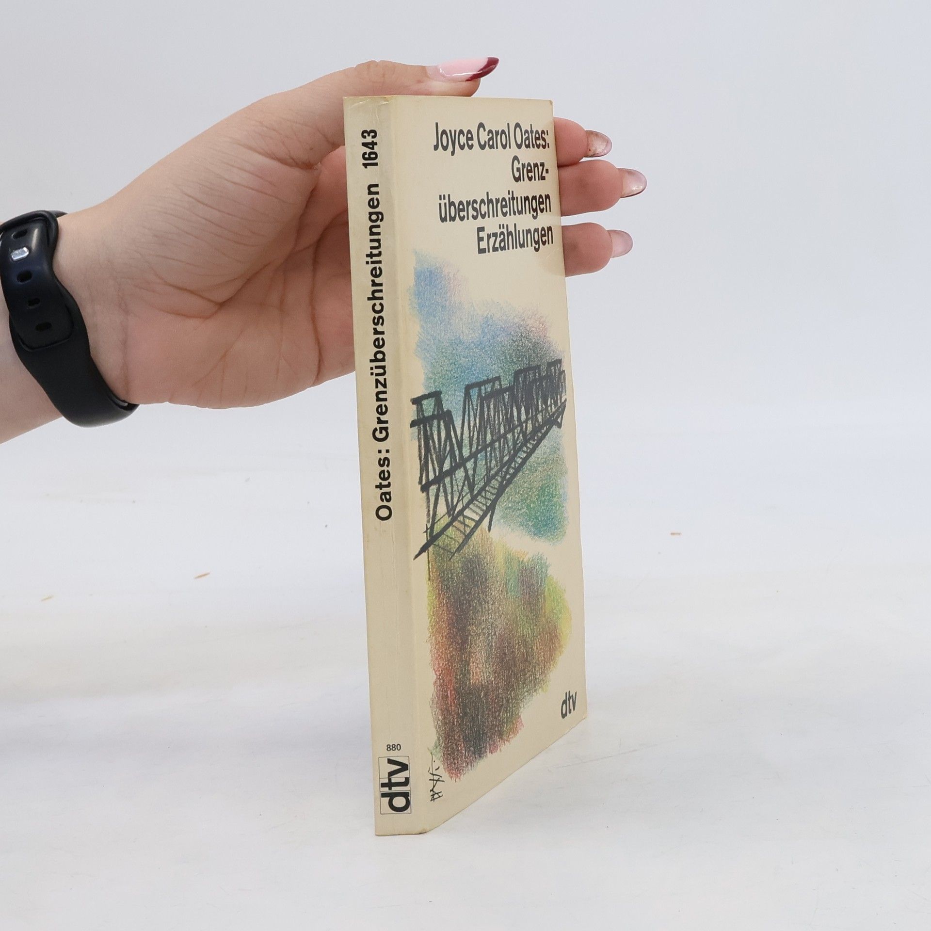 Joyce Carol Oates Grenzüberschreitungen