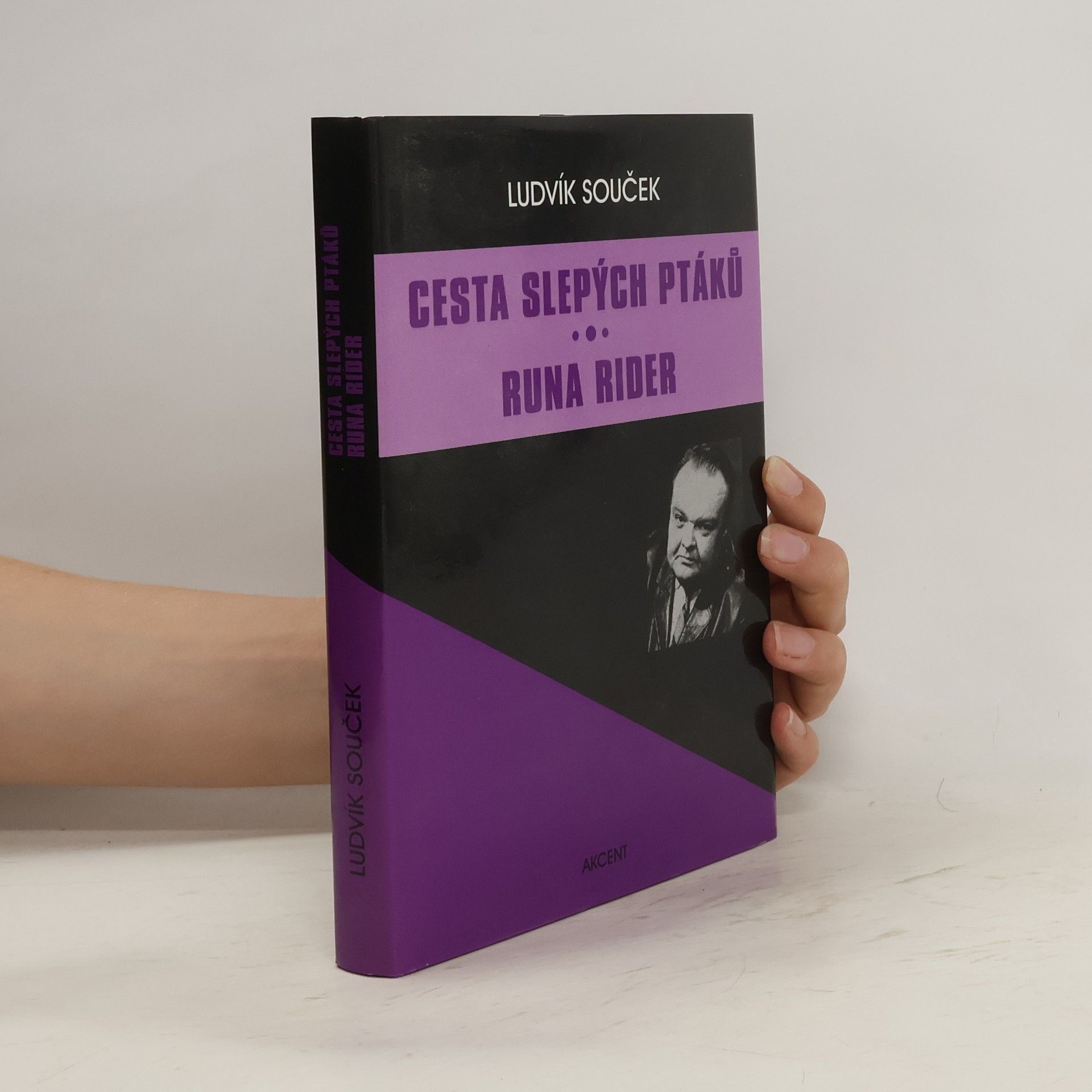 Ludvík Souček Cesta slepých ptáků / Runa rider