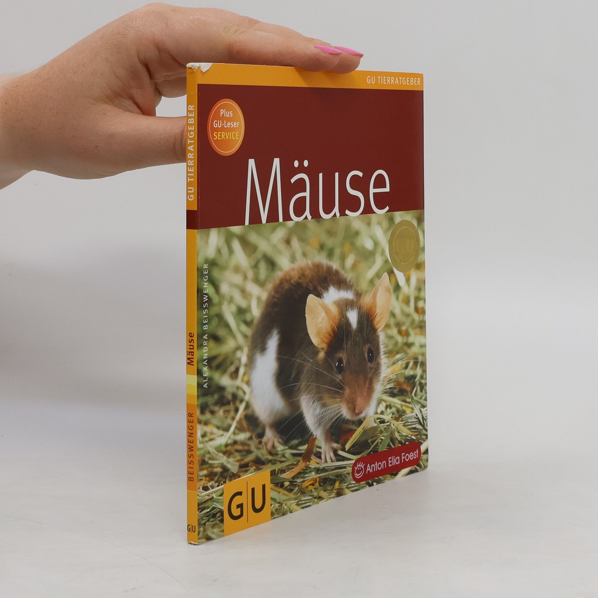 Alexandra Beißwenger Mäuse