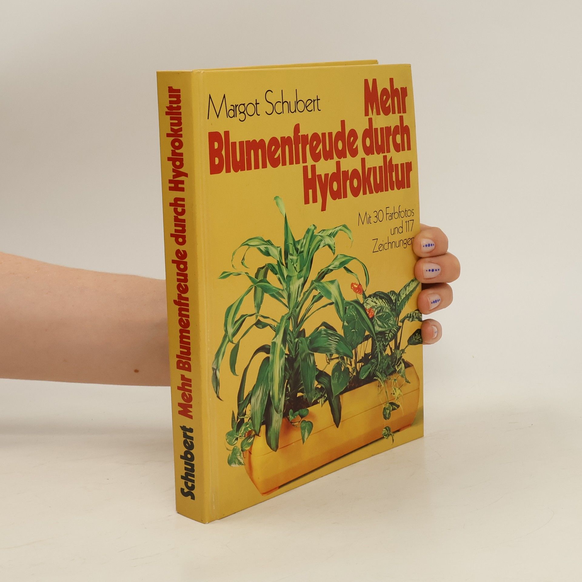 Margot Schubert Mehr Blumenfreude durch Hydrokultur
