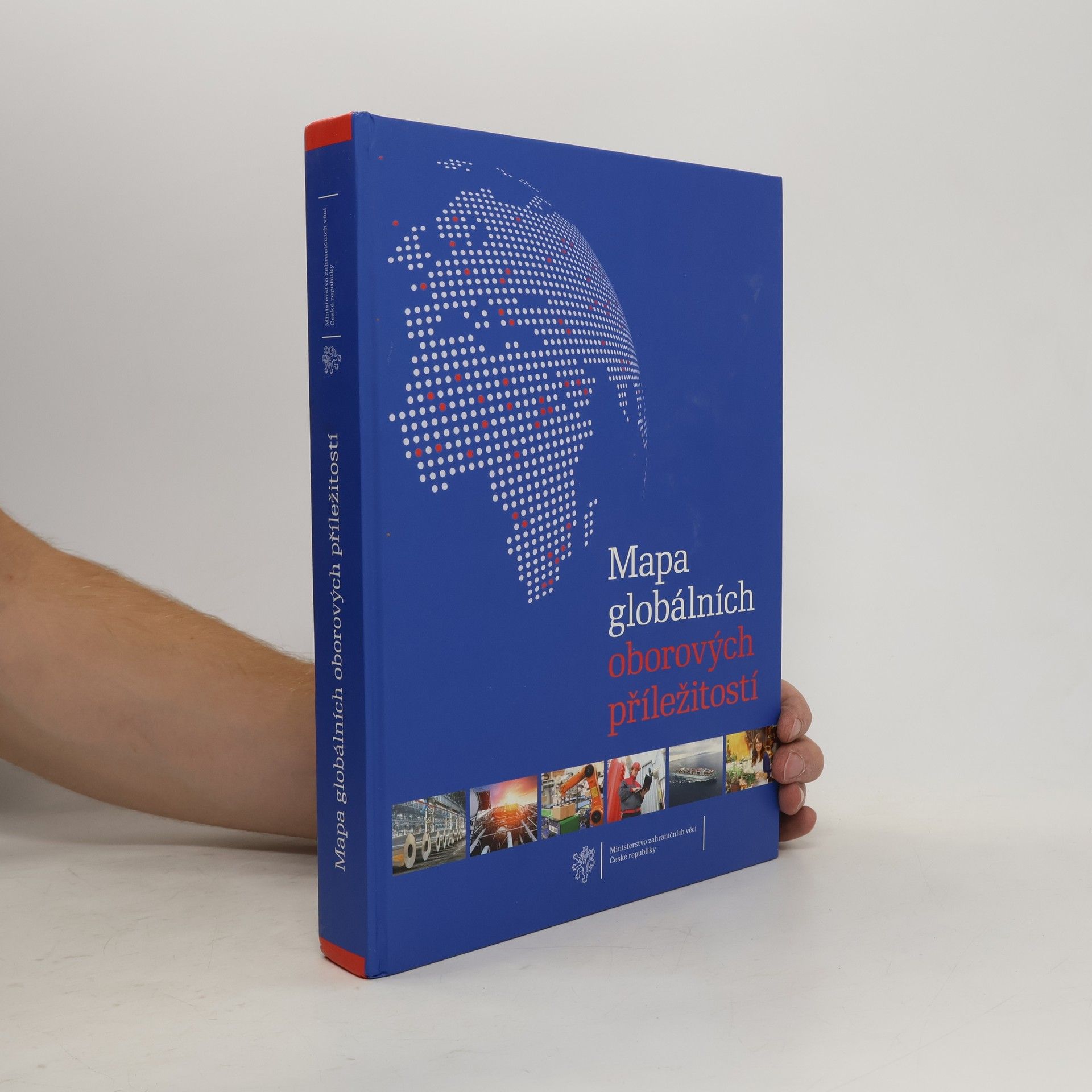 Autorenkollektiv Mapa globálních oborových příležitostí