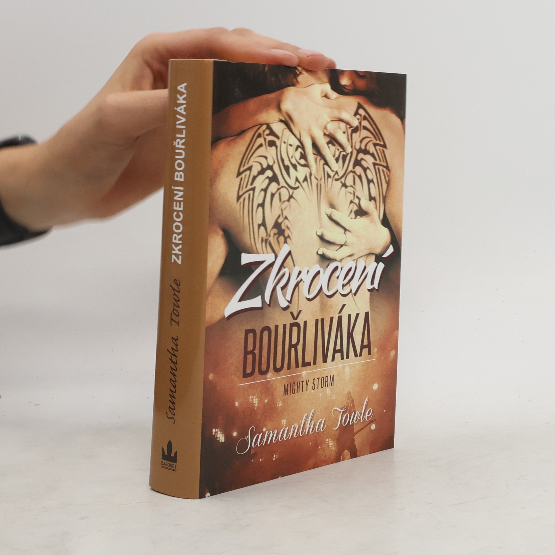 Samantha Towle Zkrocení bouřliváka