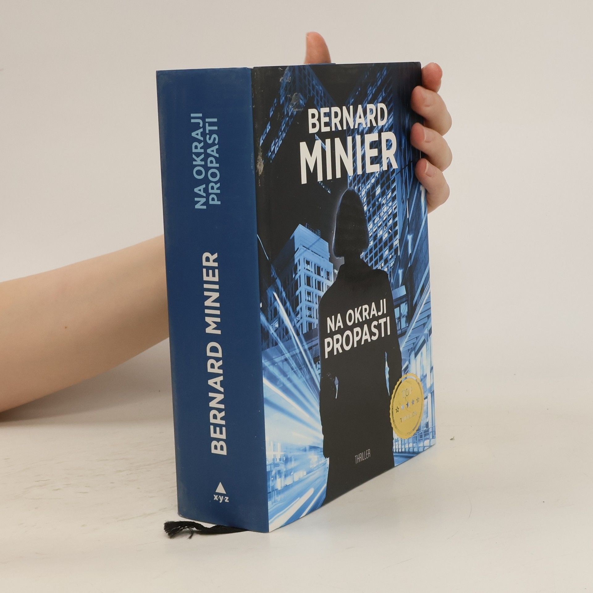 Bernard Minier Na okraji propasti