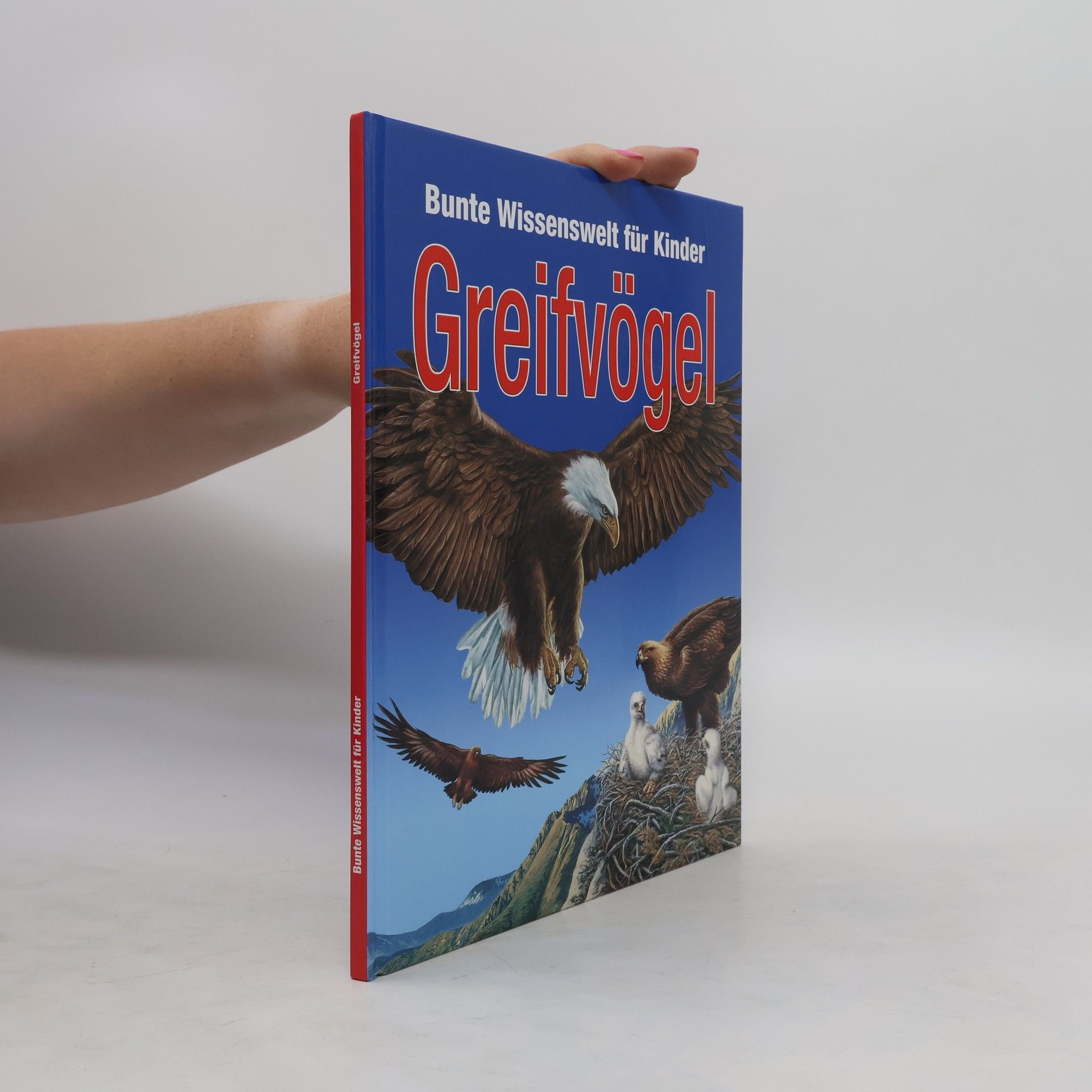 Autorenkollektiv Greifvögel